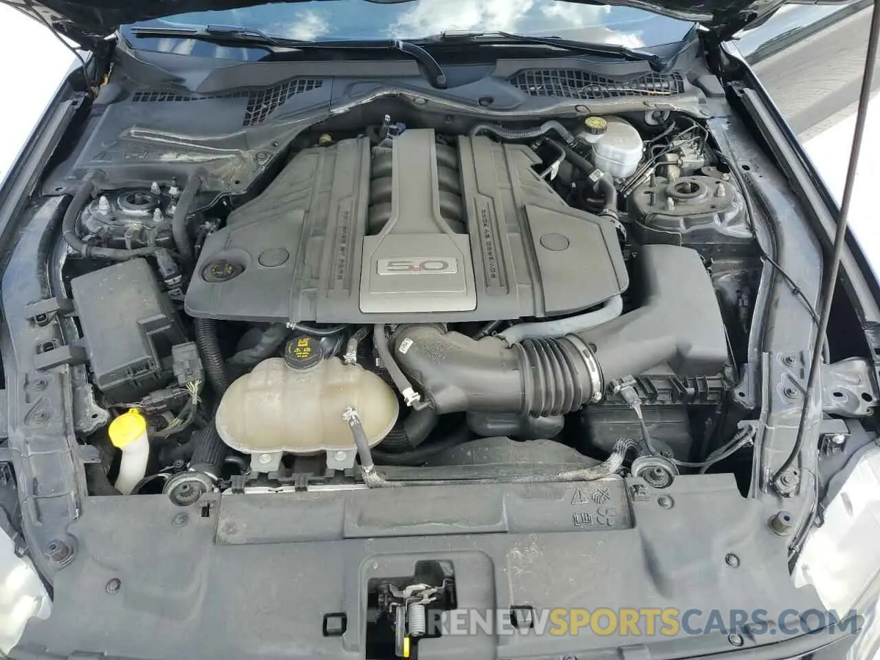 11 fotografías del automóvil dañado 1FA6P8CF6K5122362 FORD MUSTANG 2019