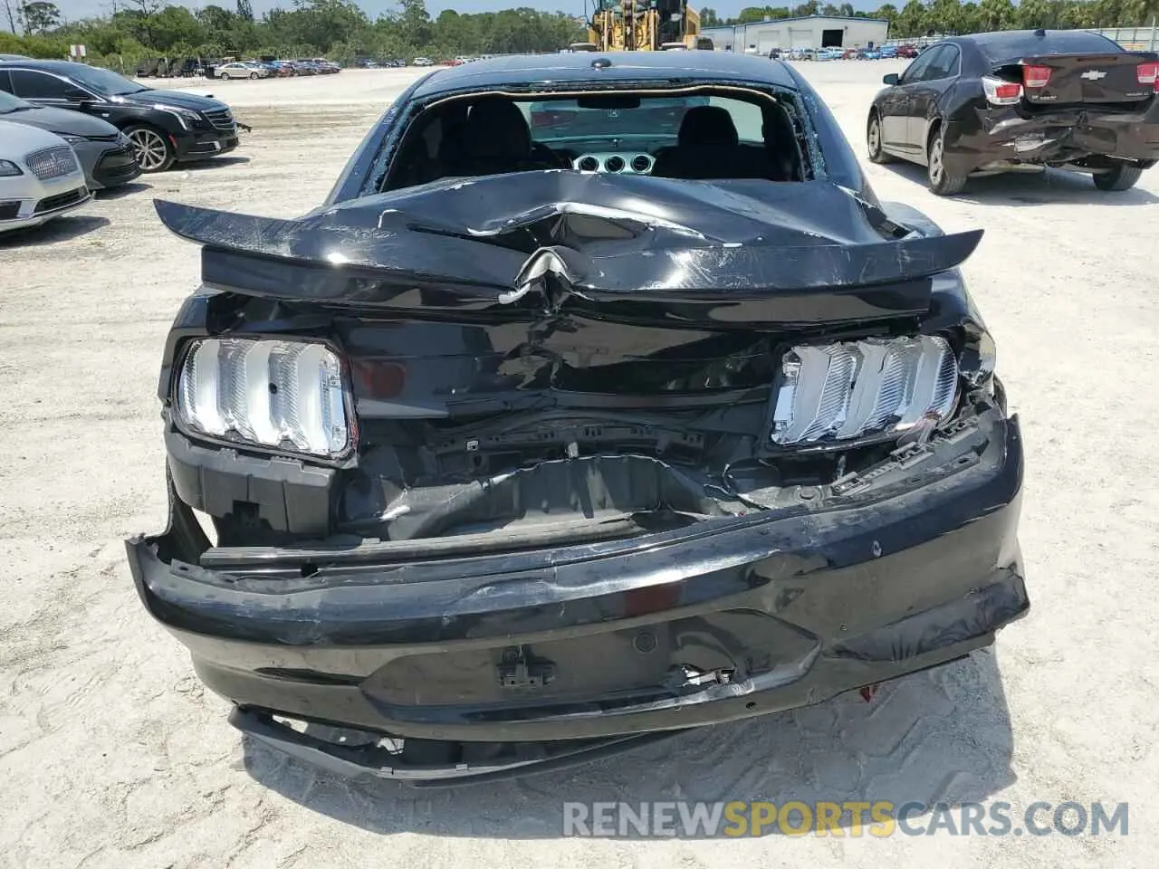 6 fotografías del automóvil dañado 1FA6P8CF6K5122362 FORD MUSTANG 2019