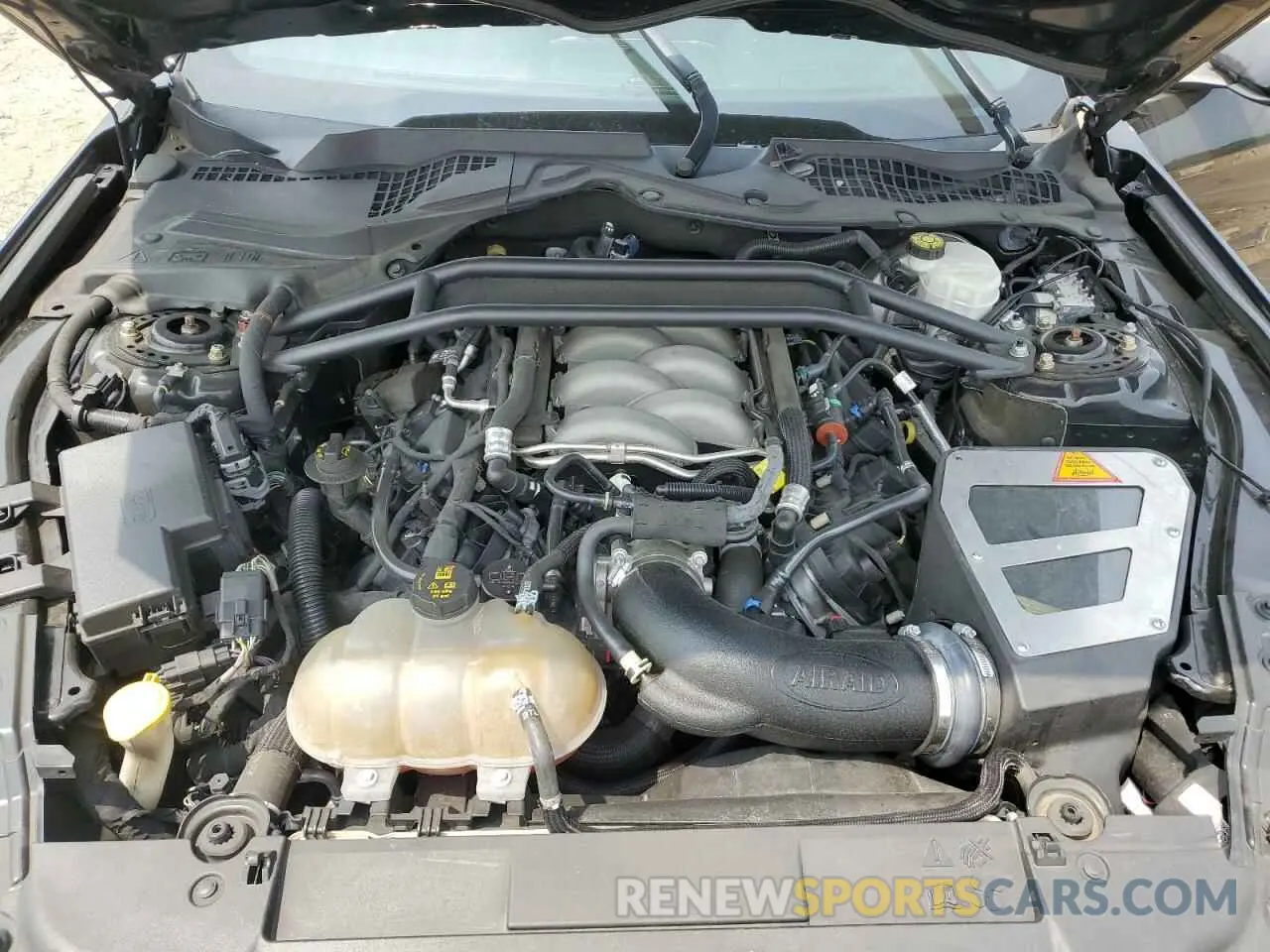 11 fotografías del automóvil dañado 1FA6P8CF6K5142224 FORD MUSTANG 2019