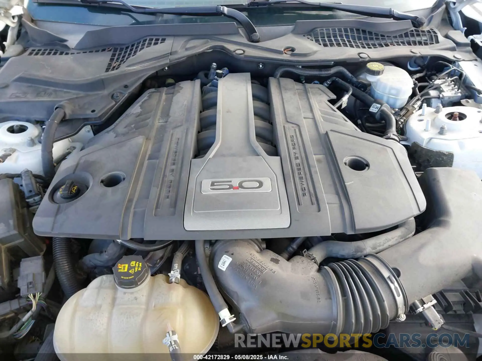 10 fotografías del automóvil dañado 1FA6P8CF6K5173649 FORD MUSTANG 2019