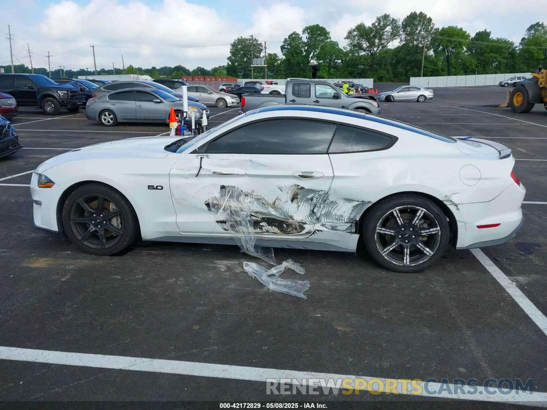 14 fotografías del automóvil dañado 1FA6P8CF6K5173649 FORD MUSTANG 2019