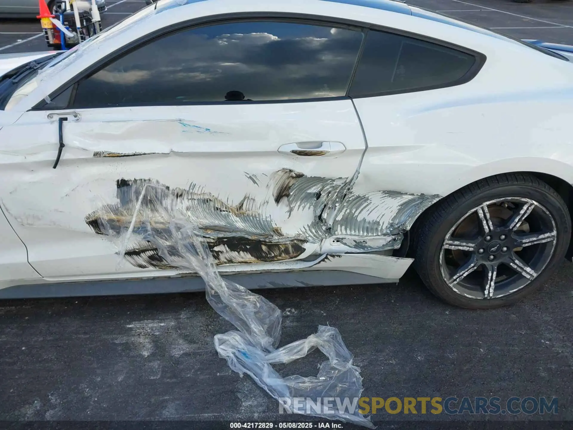6 fotografías del automóvil dañado 1FA6P8CF6K5173649 FORD MUSTANG 2019