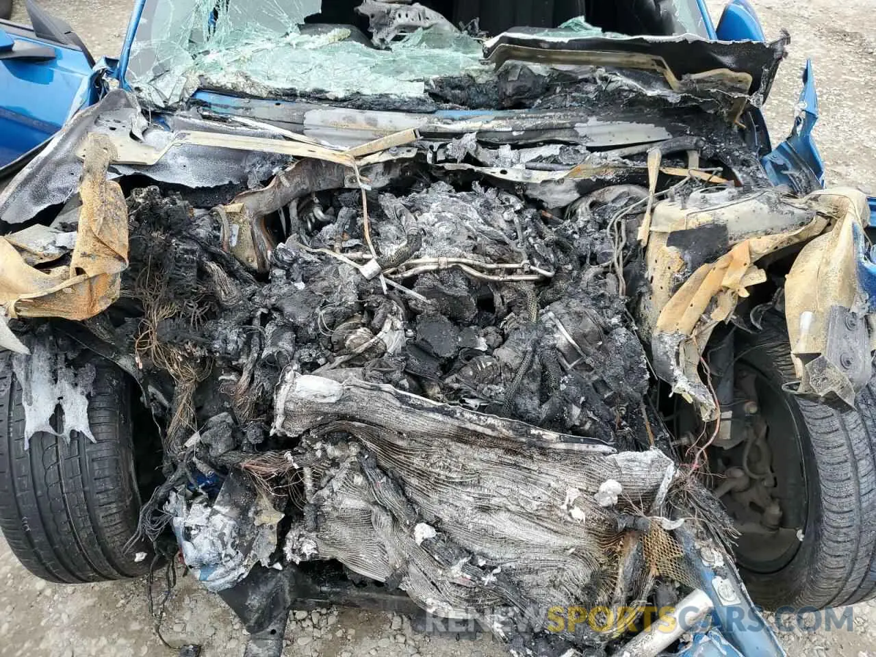 11 fotografías del automóvil dañado 1FA6P8CF8K5203637 FORD MUSTANG 2019