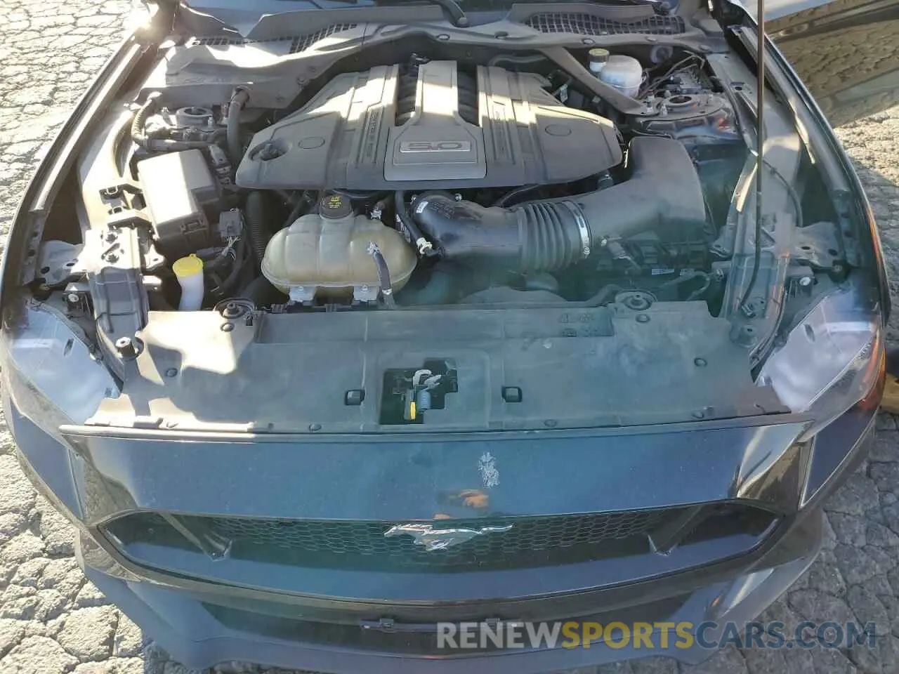 11 fotografías del automóvil dañado 1FA6P8CF9K5117222 FORD MUSTANG 2019