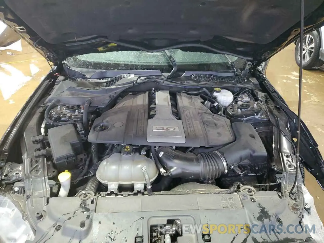 12 fotografías del automóvil dañado 1FA6P8CF9K5146803 FORD MUSTANG 2019