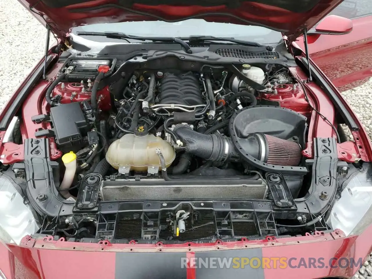 13 fotografías del automóvil dañado 1FA6P8CFXK5122283 FORD MUSTANG 2019