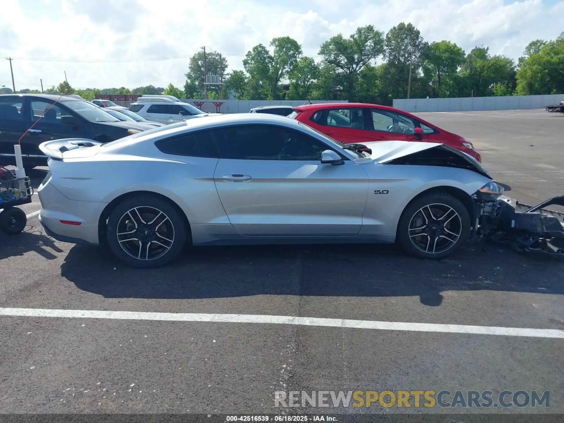 13 fotografías del automóvil dañado 1FA6P8CFXK5151458 FORD MUSTANG 2019