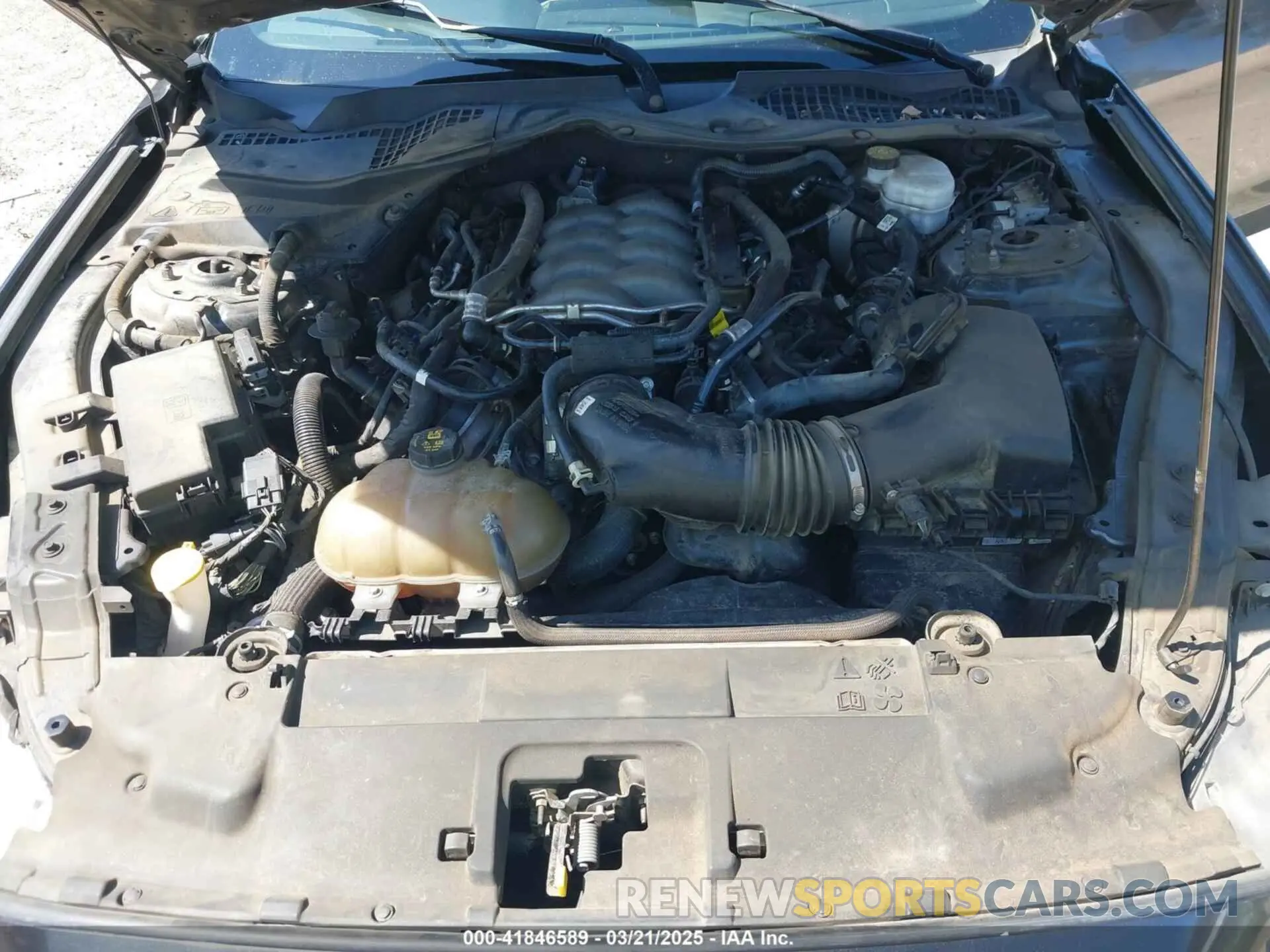 10 fotografías del automóvil dañado 1FA6P8CFXK5178319 FORD MUSTANG 2019