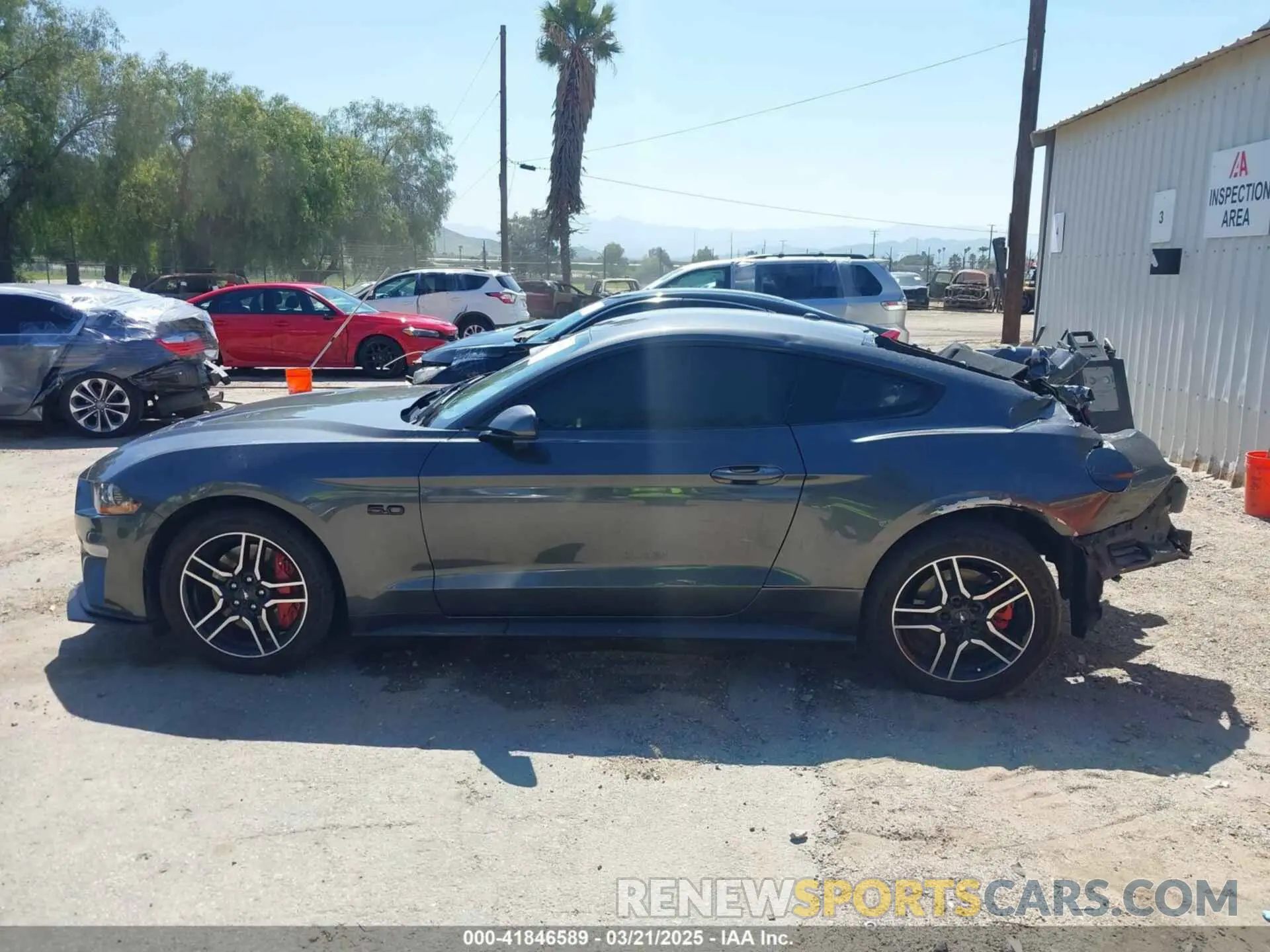 13 fotografías del automóvil dañado 1FA6P8CFXK5178319 FORD MUSTANG 2019