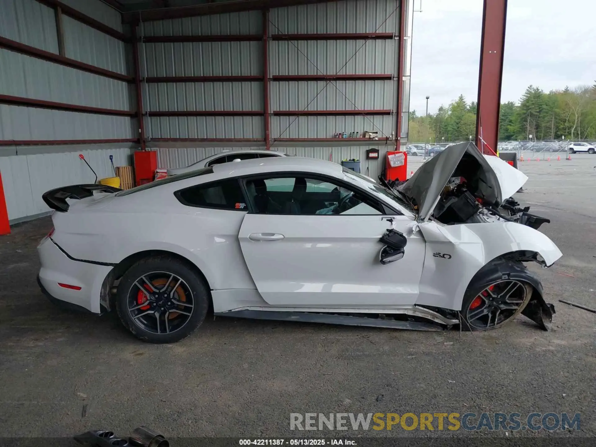 13 fotografías del automóvil dañado 1FA6P8CFXK5194374 FORD MUSTANG 2019