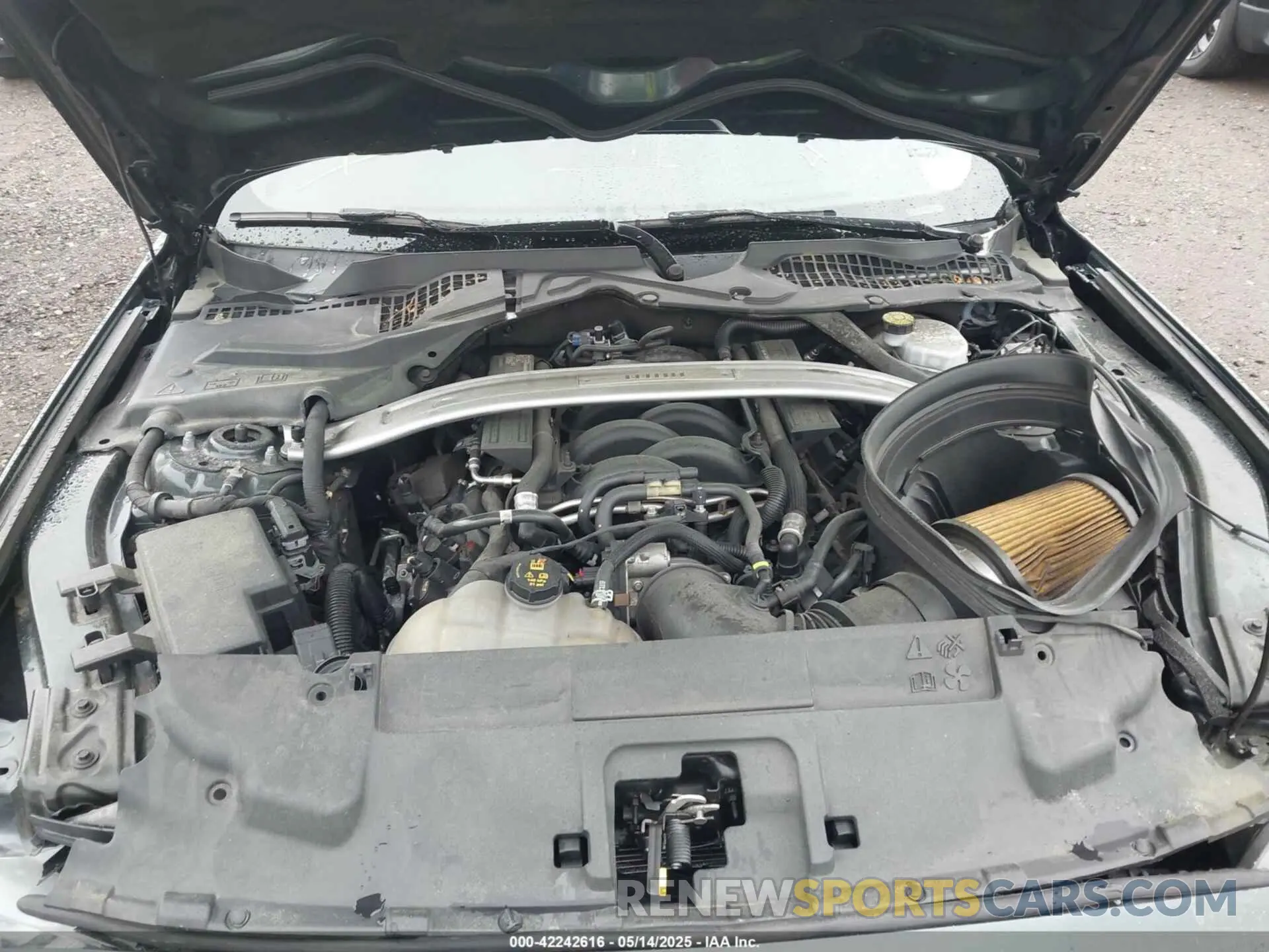 10 fotografías del automóvil dañado 1FA6P8K02K5500707 FORD MUSTANG 2019