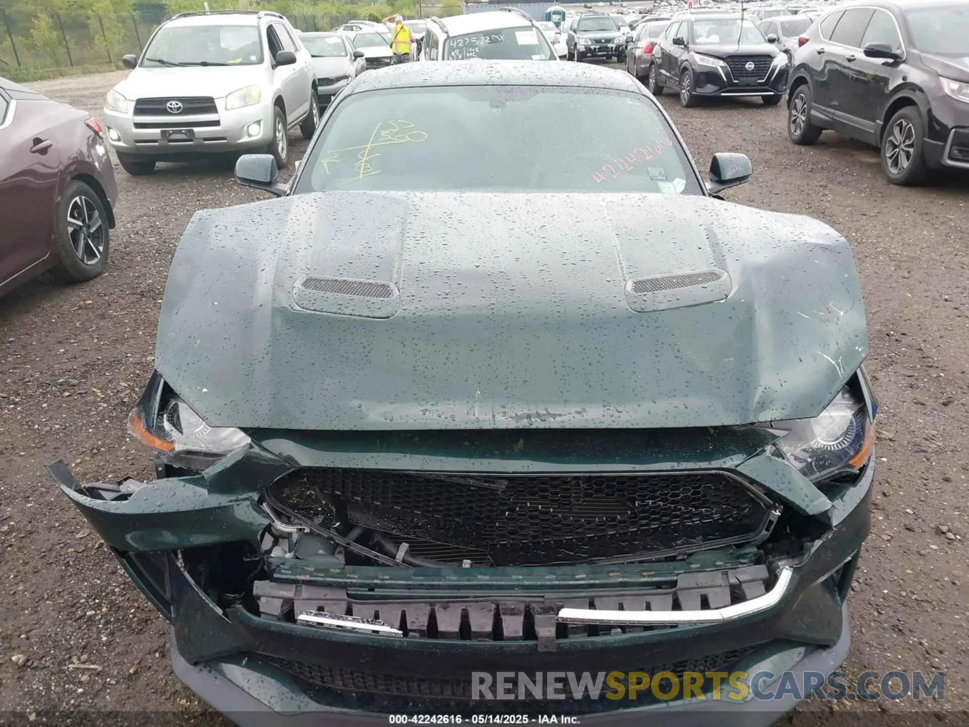 12 fotografías del automóvil dañado 1FA6P8K02K5500707 FORD MUSTANG 2019