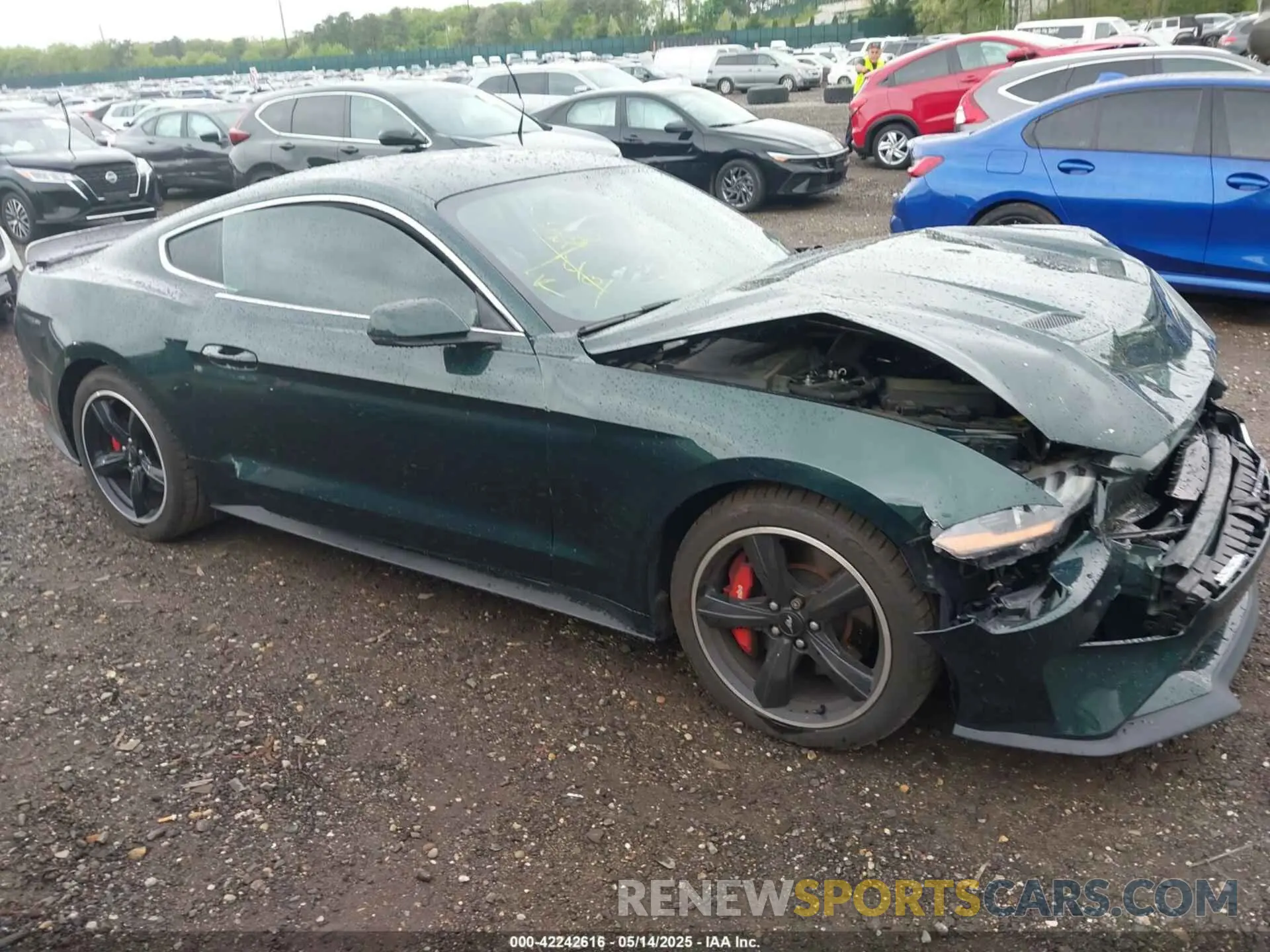 13 fotografías del automóvil dañado 1FA6P8K02K5500707 FORD MUSTANG 2019