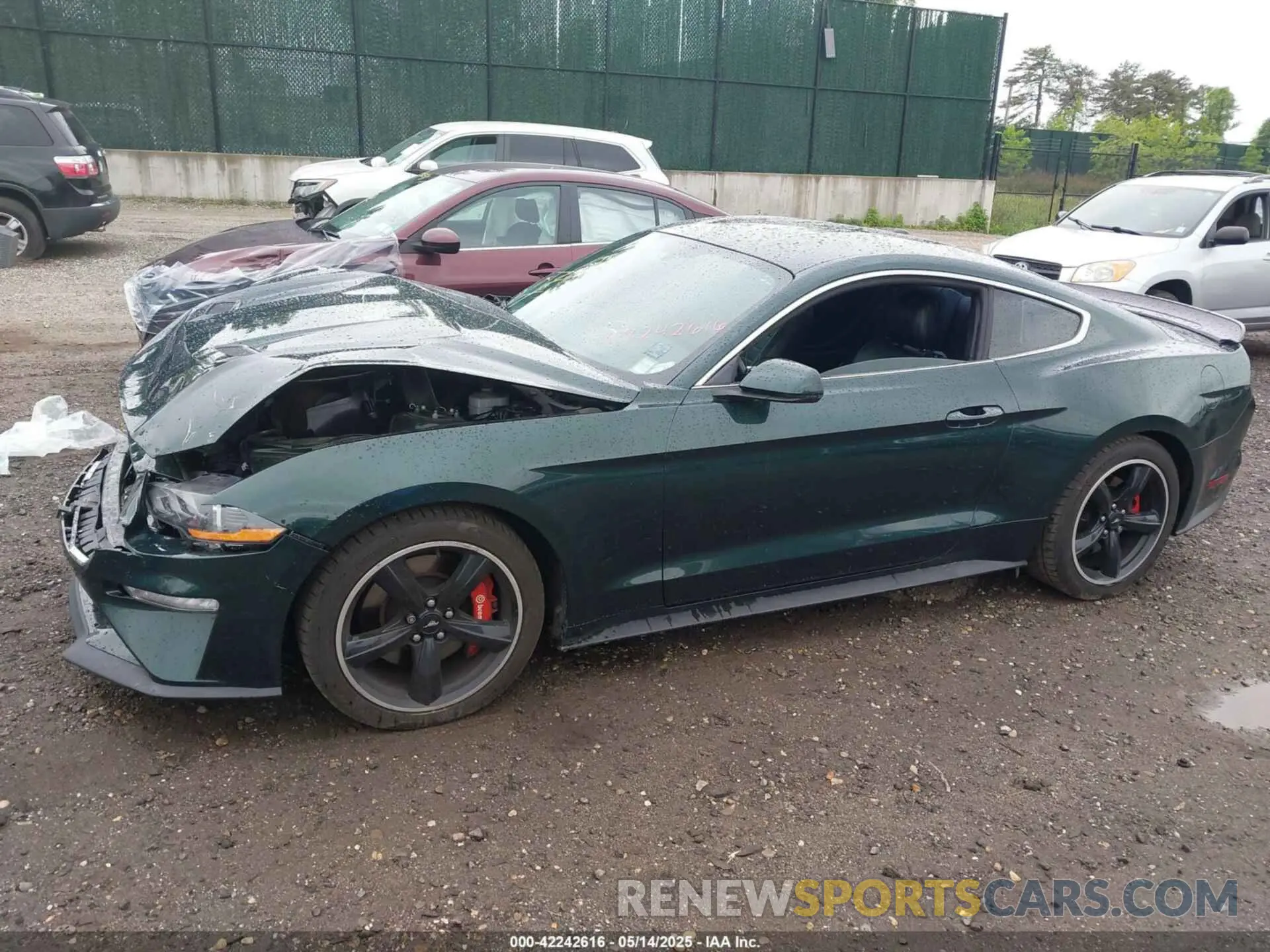 14 fotografías del automóvil dañado 1FA6P8K02K5500707 FORD MUSTANG 2019