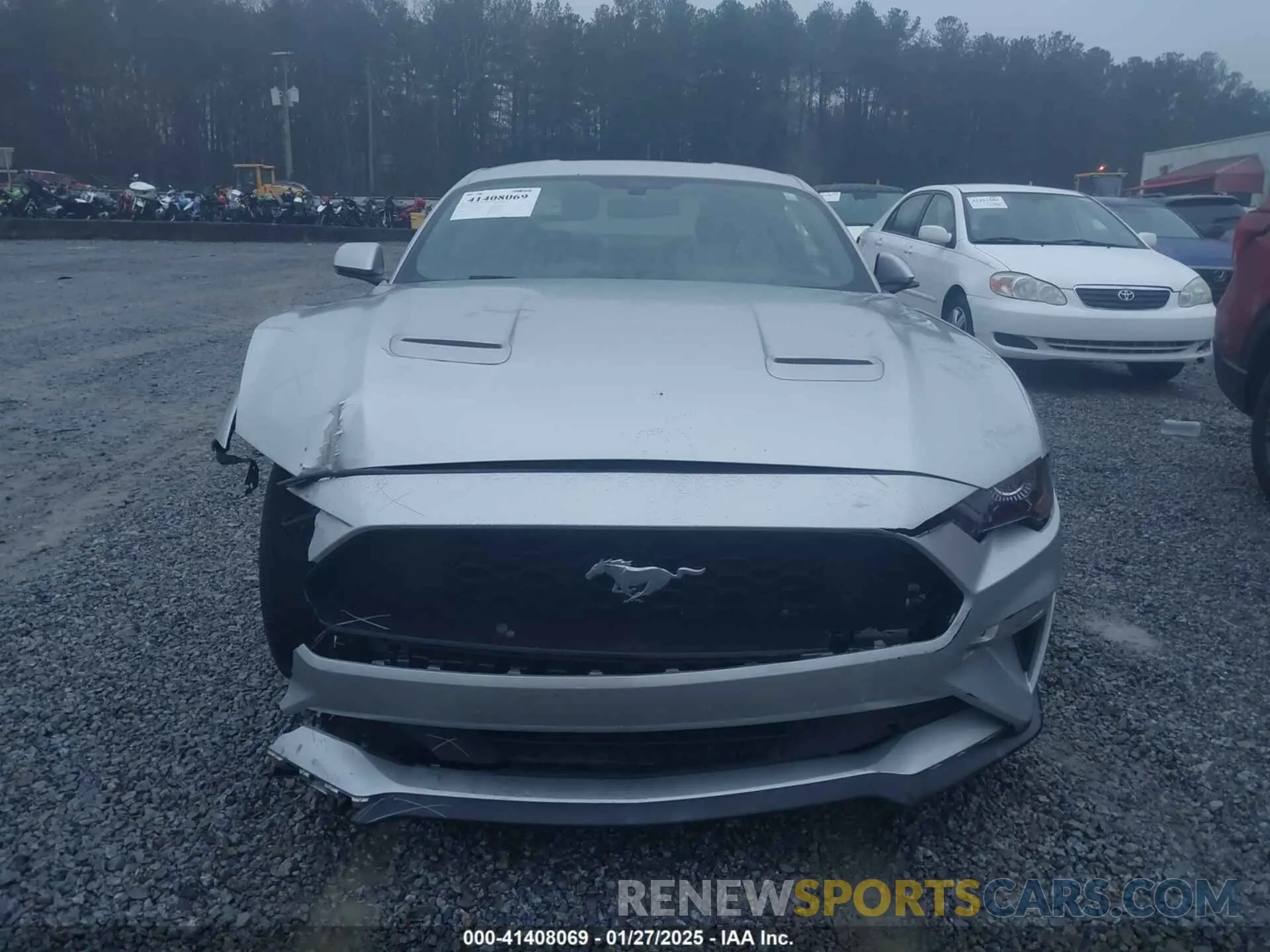 12 fotografías del automóvil dañado 1FA6P8TH0K5172045 FORD MUSTANG 2019