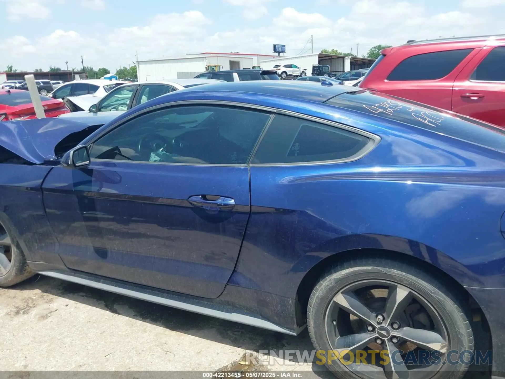 14 fotografías del automóvil dañado 1FA6P8TH0K5174930 FORD MUSTANG 2019