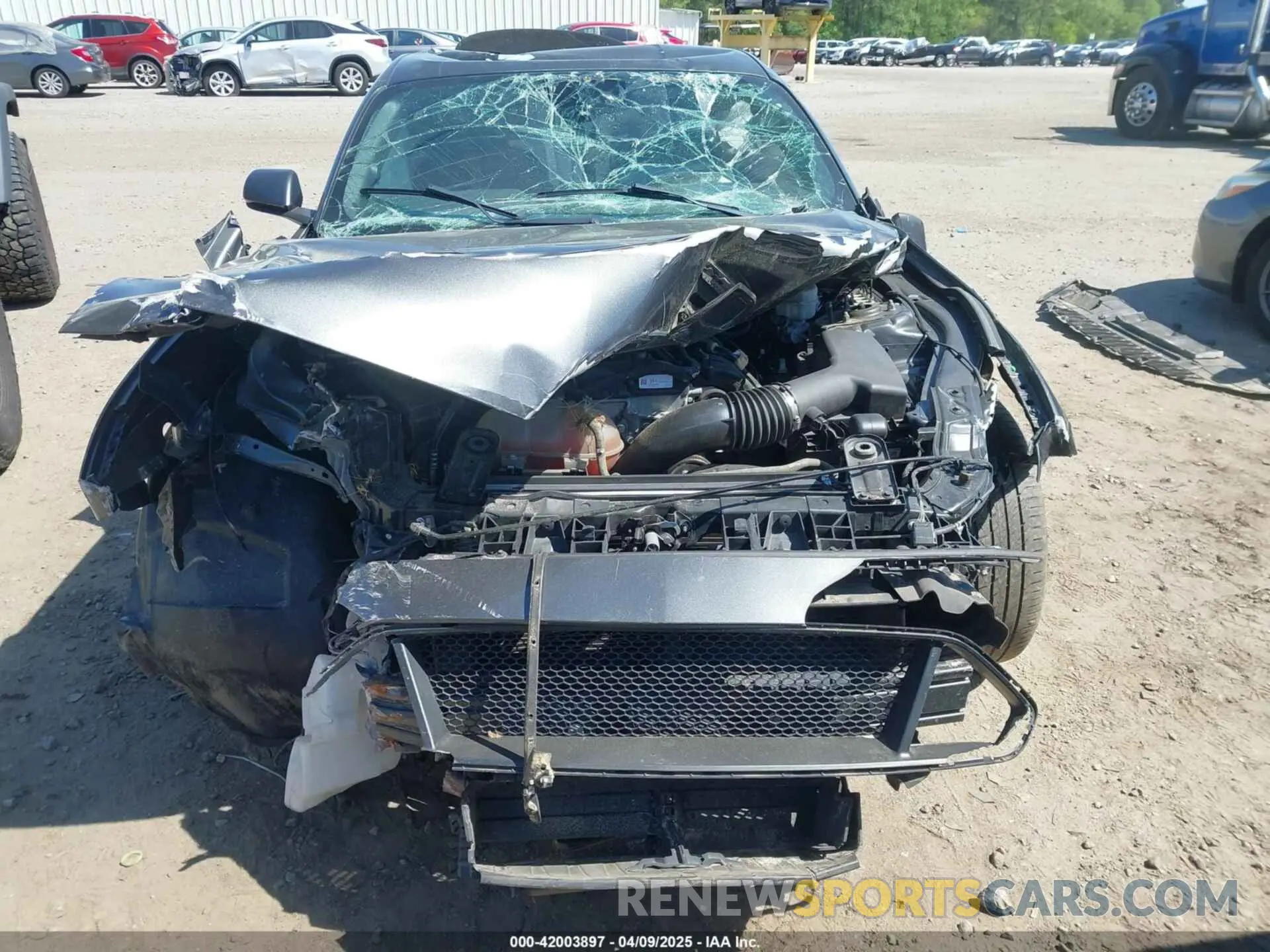 12 fotografías del automóvil dañado 1FA6P8TH0K5201432 FORD MUSTANG 2019