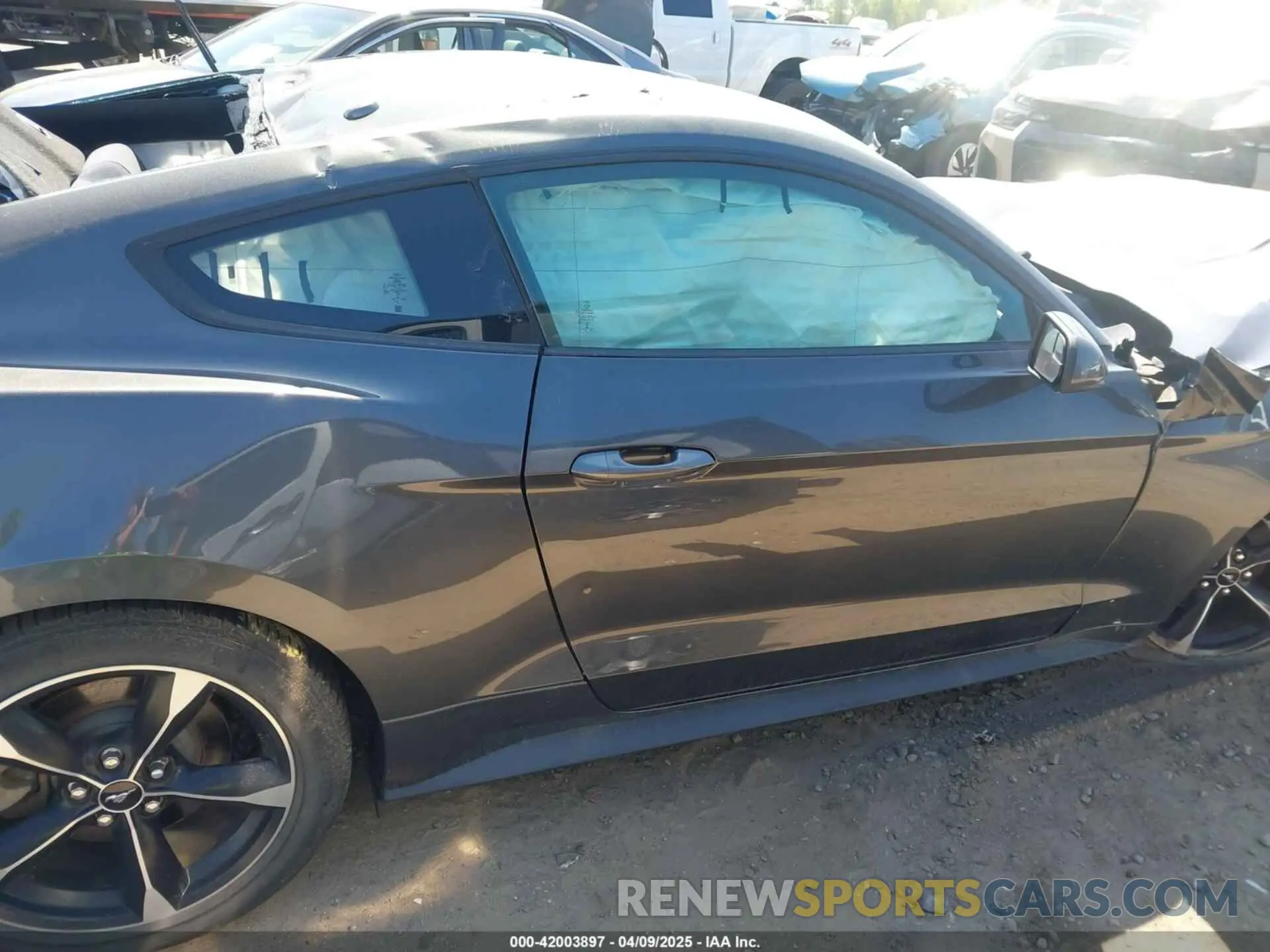 13 fotografías del automóvil dañado 1FA6P8TH0K5201432 FORD MUSTANG 2019