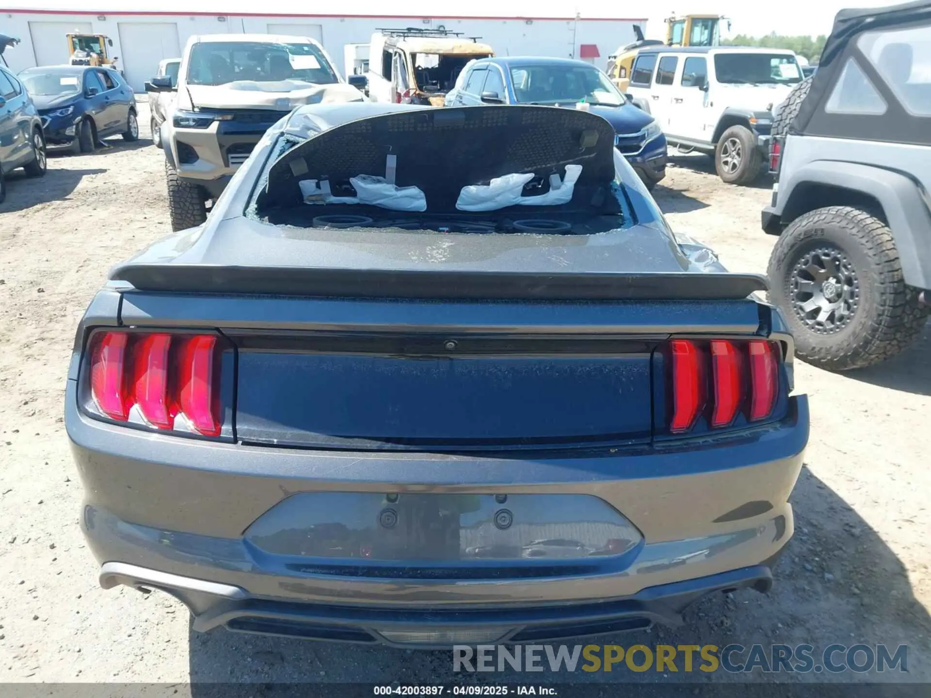 16 fotografías del automóvil dañado 1FA6P8TH0K5201432 FORD MUSTANG 2019