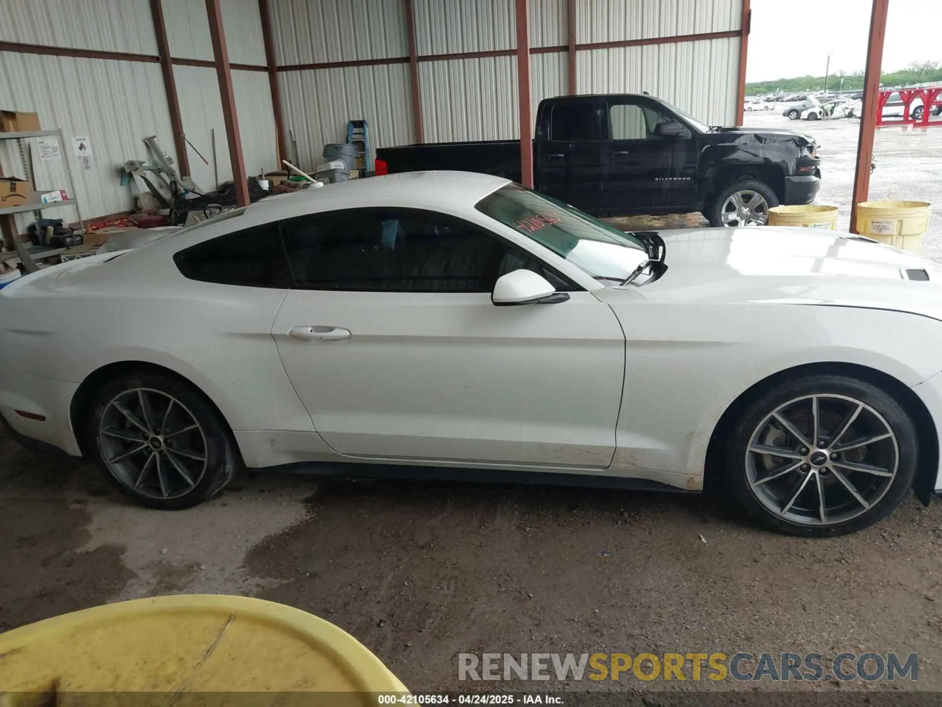 13 fotografías del automóvil dañado 1FA6P8TH1K5168795 FORD MUSTANG 2019