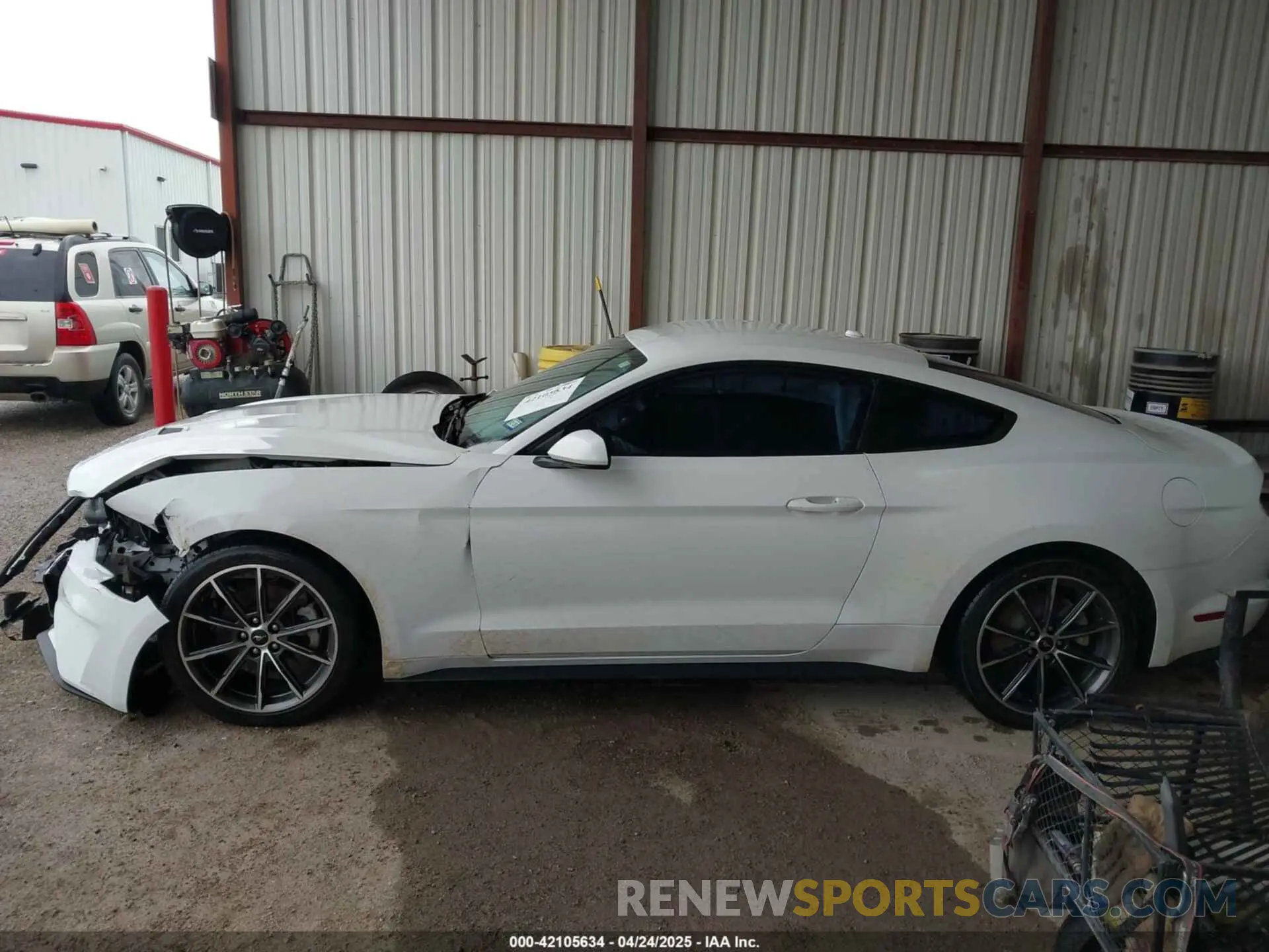 14 fotografías del automóvil dañado 1FA6P8TH1K5168795 FORD MUSTANG 2019