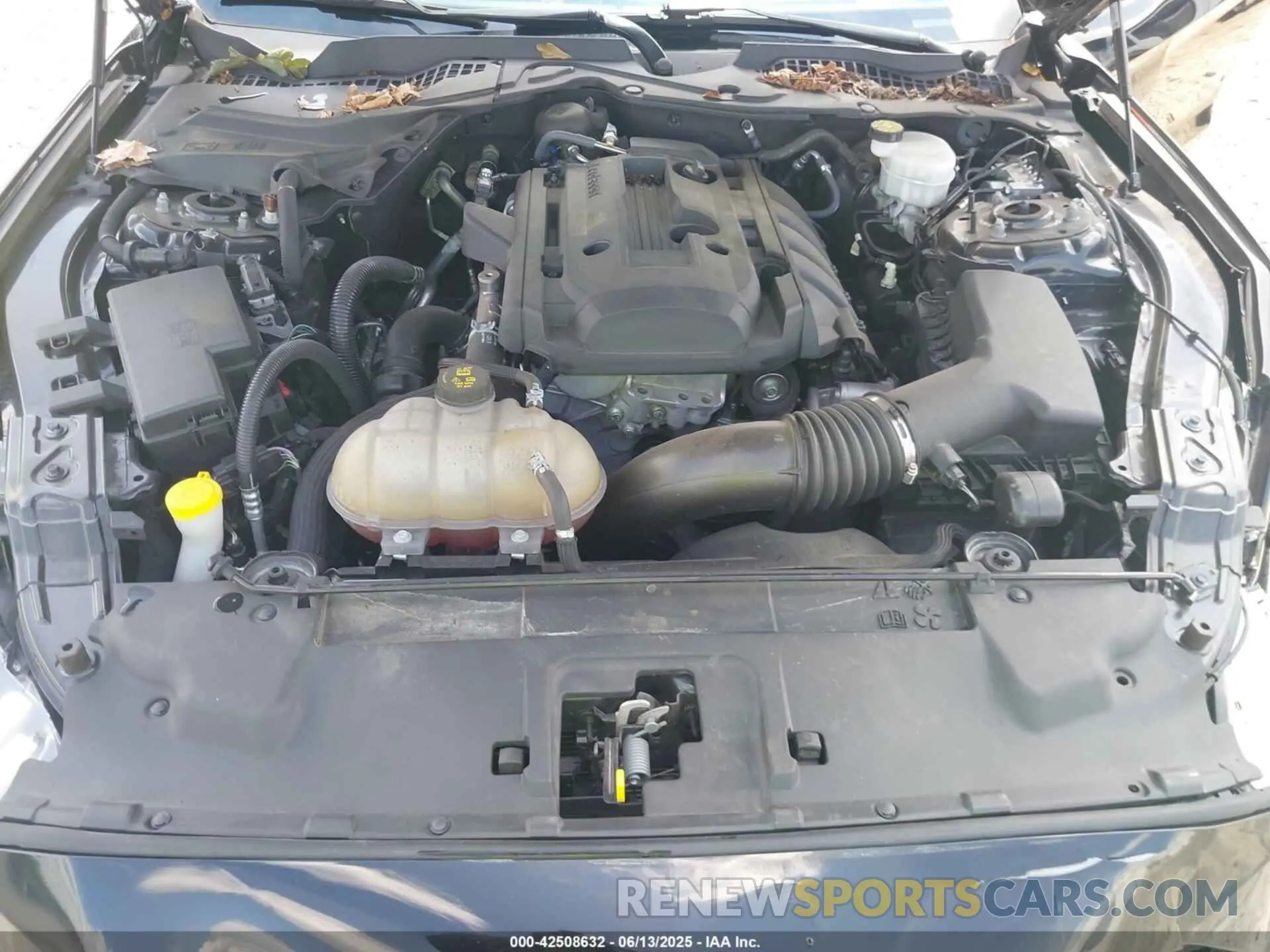 10 fotografías del automóvil dañado 1FA6P8TH1K5197214 FORD MUSTANG 2019