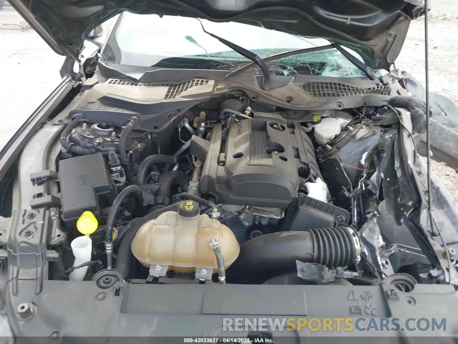 10 fotografías del automóvil dañado 1FA6P8TH2K5119105 FORD MUSTANG 2019