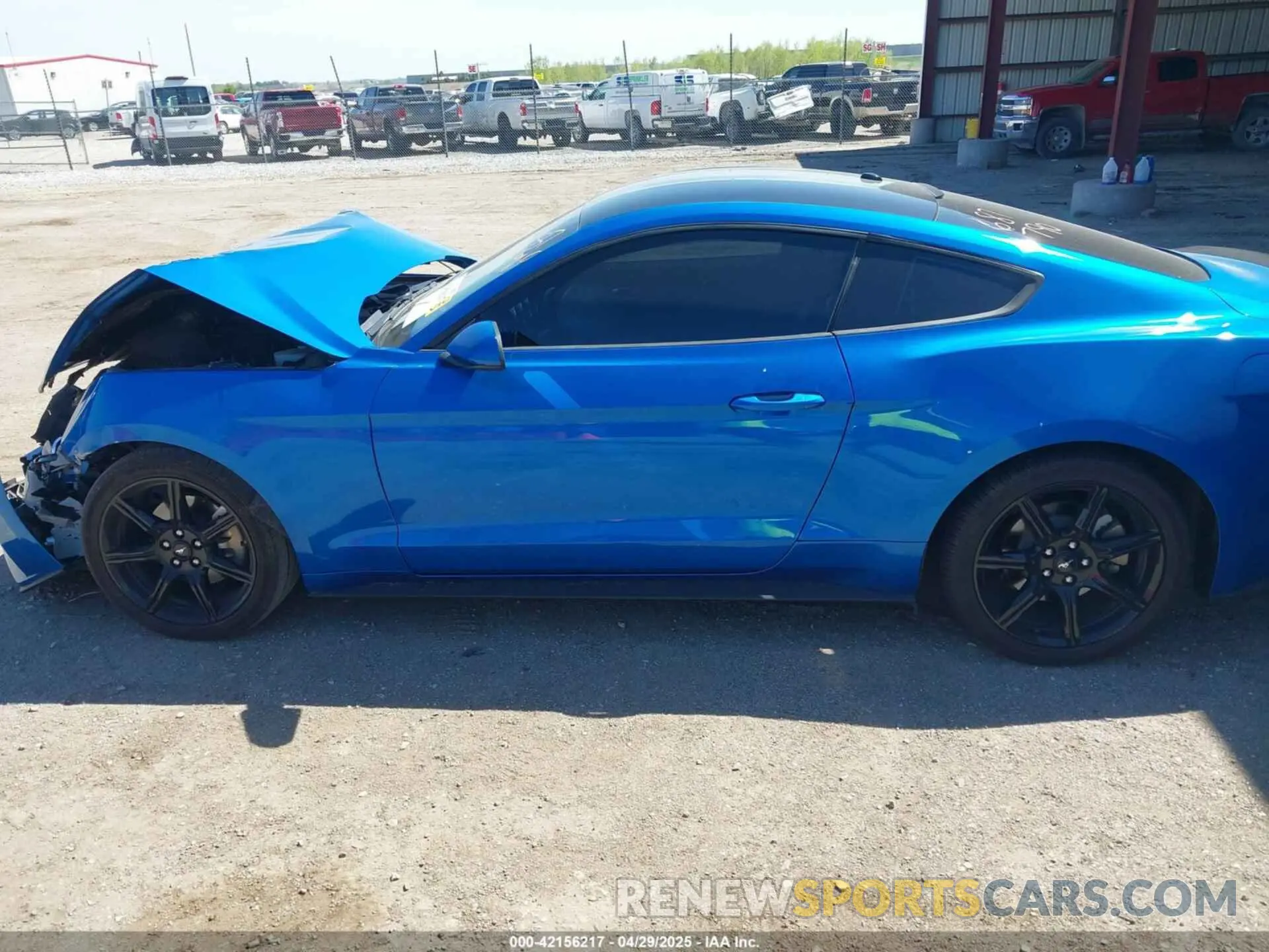 14 fotografías del automóvil dañado 1FA6P8TH2K5134462 FORD MUSTANG 2019