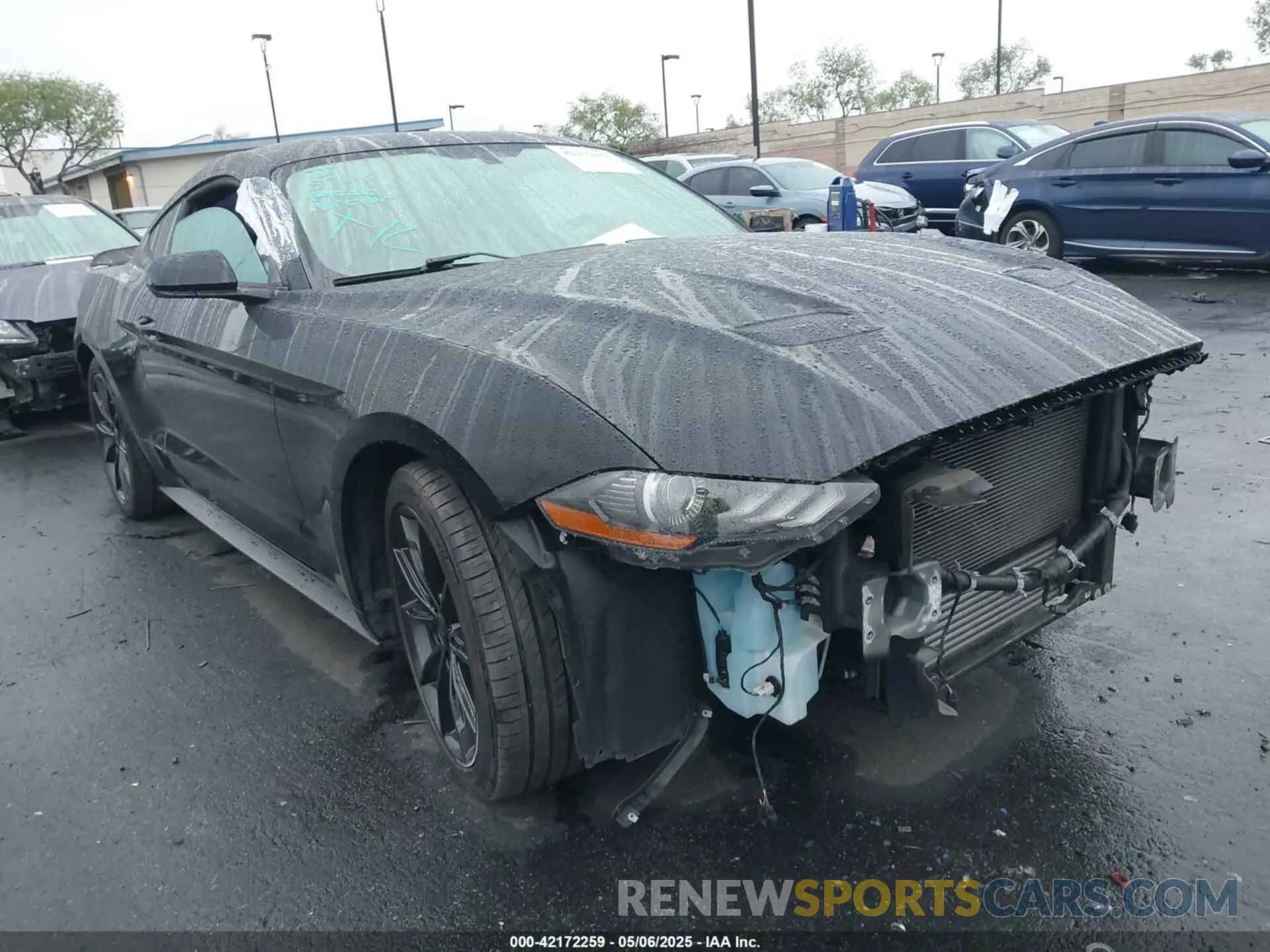 1 fotografías del automóvil dañado 1FA6P8TH2K5143582 FORD MUSTANG 2019