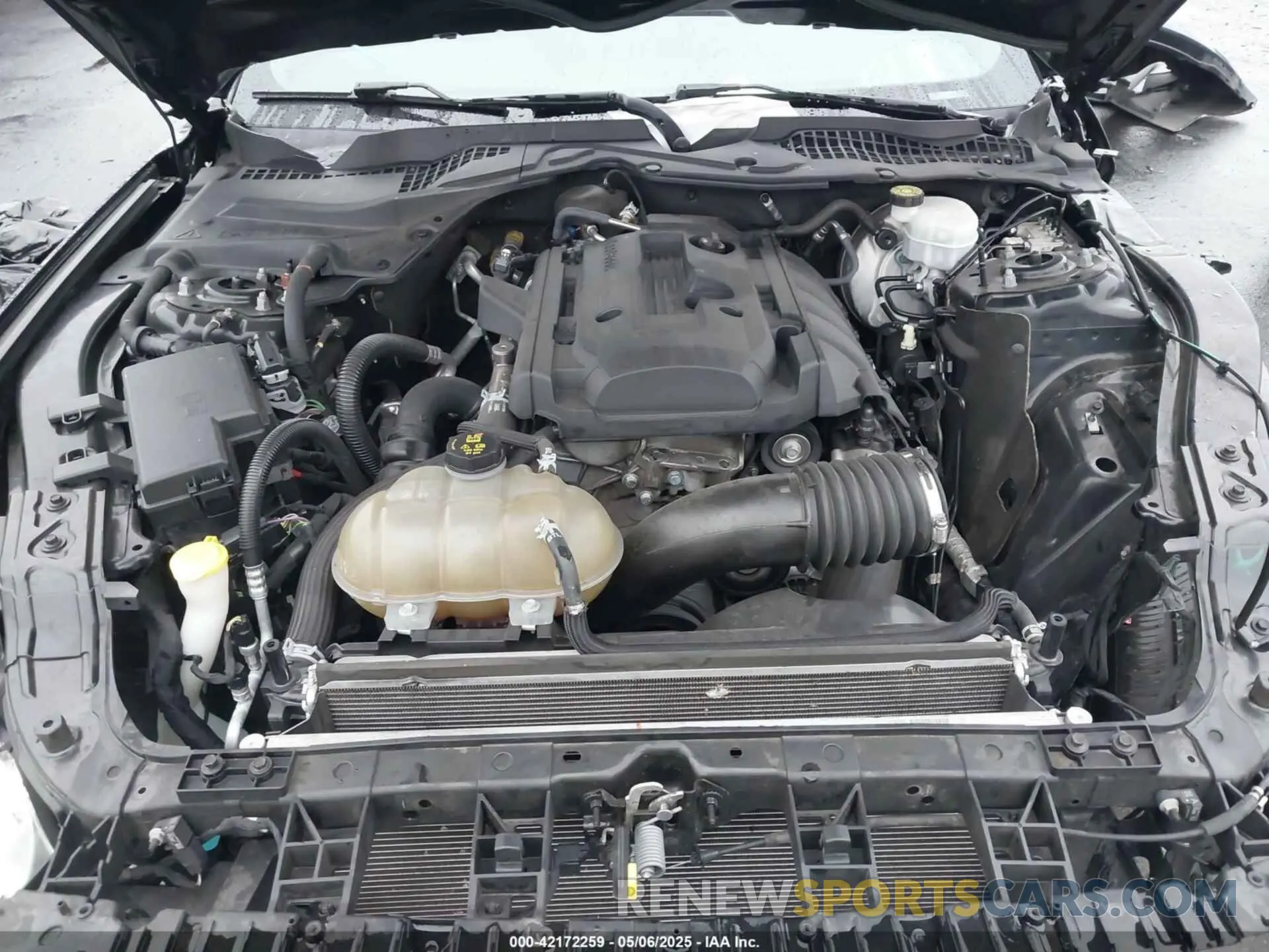 10 fotografías del automóvil dañado 1FA6P8TH2K5143582 FORD MUSTANG 2019