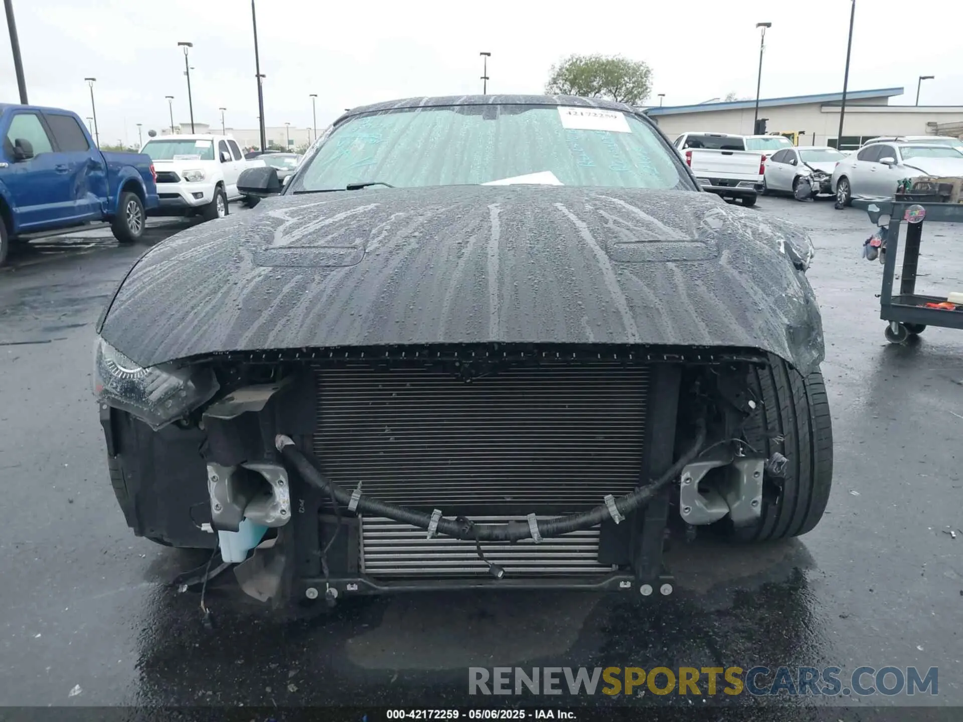 13 fotografías del automóvil dañado 1FA6P8TH2K5143582 FORD MUSTANG 2019