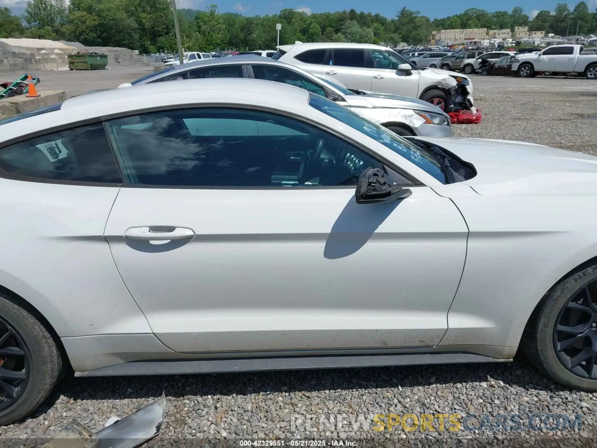 14 fotografías del automóvil dañado 1FA6P8TH3K5105908 FORD MUSTANG 2019
