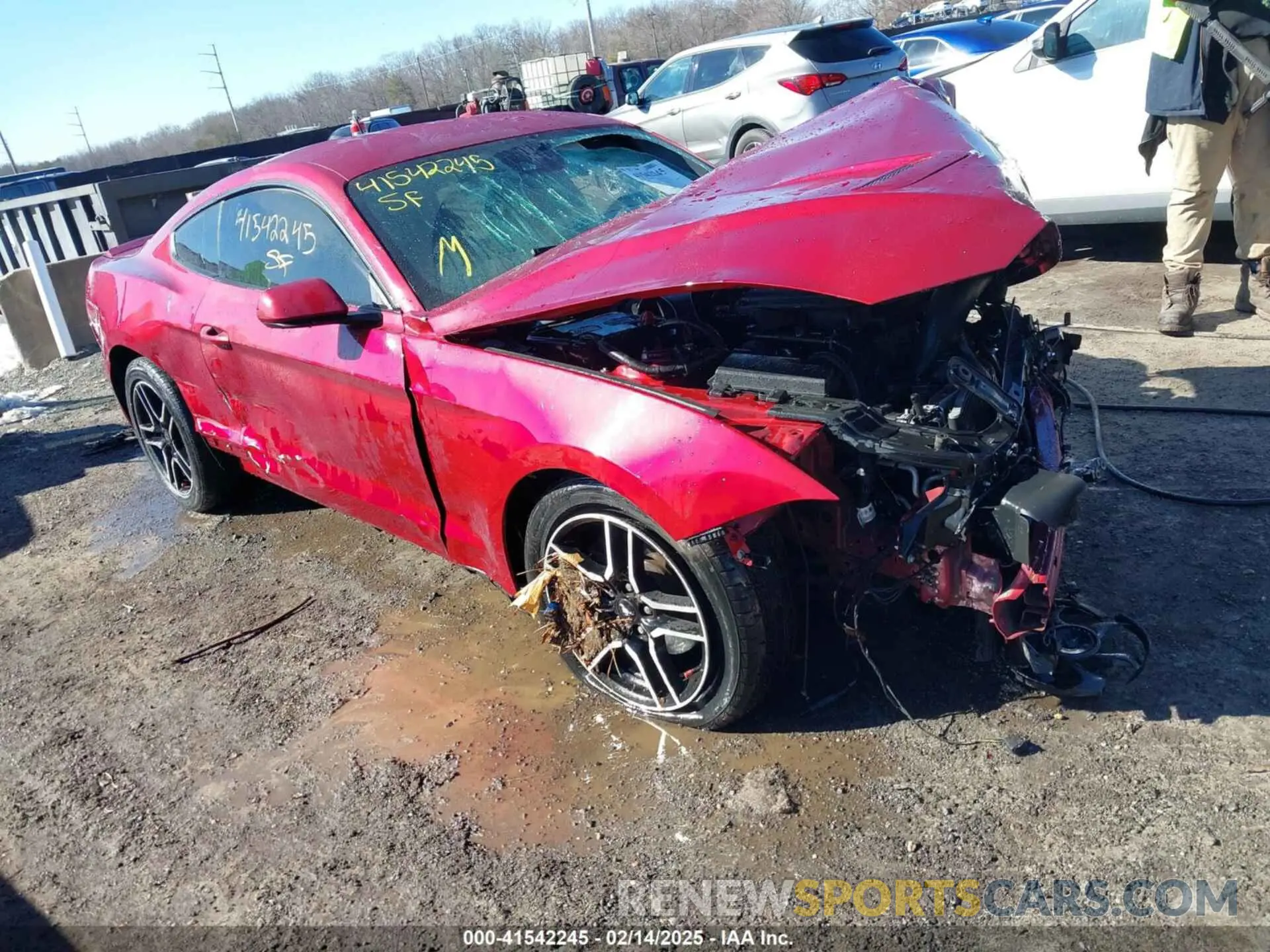 1 fotografías del automóvil dañado 1FA6P8TH3K5117315 FORD MUSTANG 2019