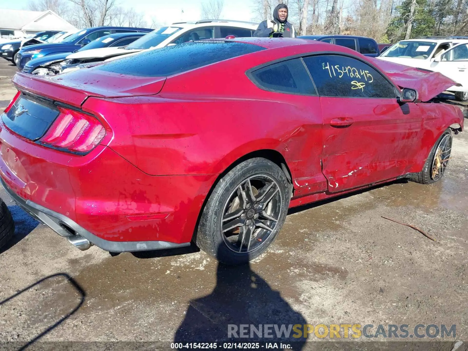 4 fotografías del automóvil dañado 1FA6P8TH3K5117315 FORD MUSTANG 2019