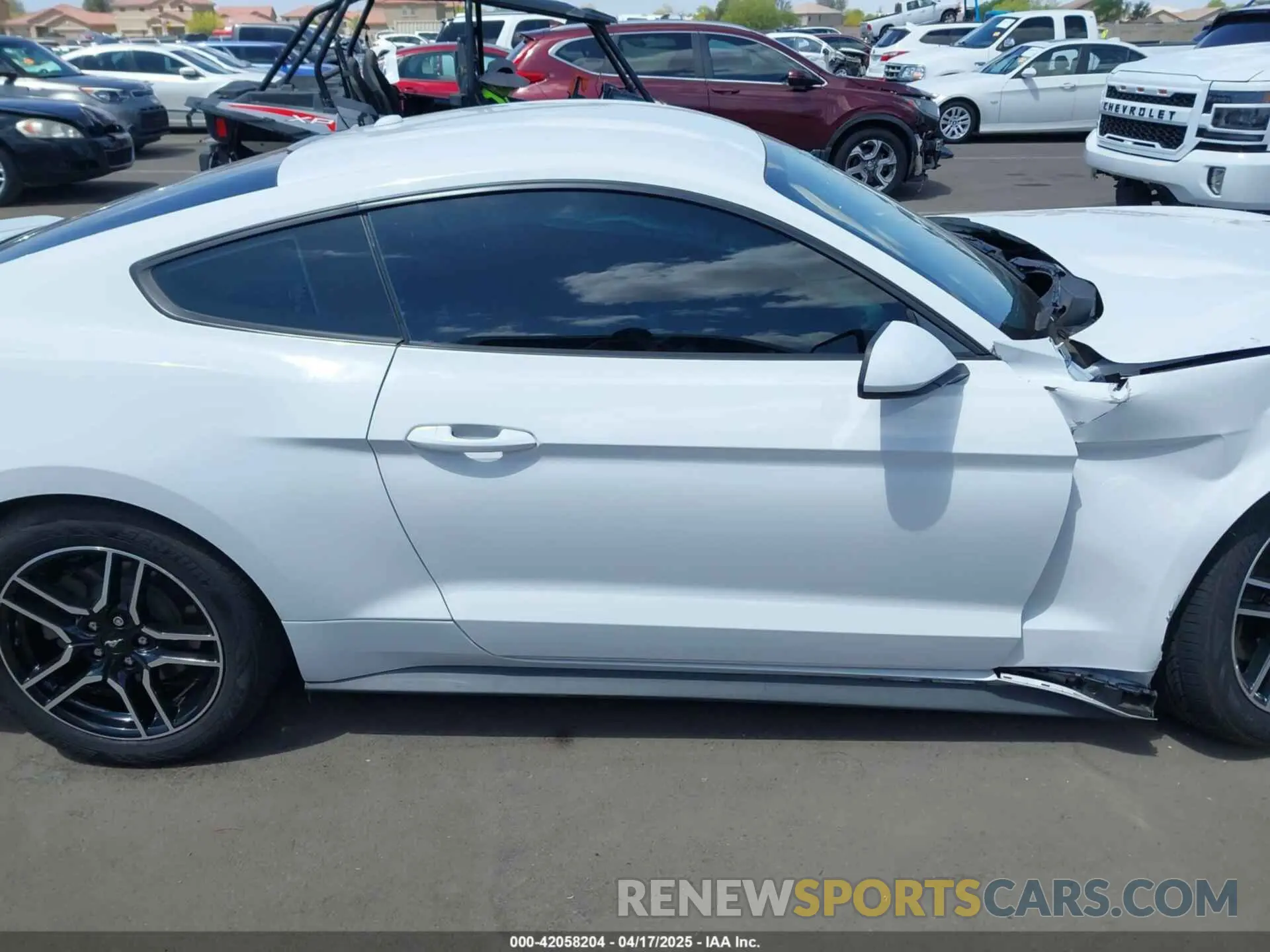 12 fotografías del automóvil dañado 1FA6P8TH3K5120831 FORD MUSTANG 2019