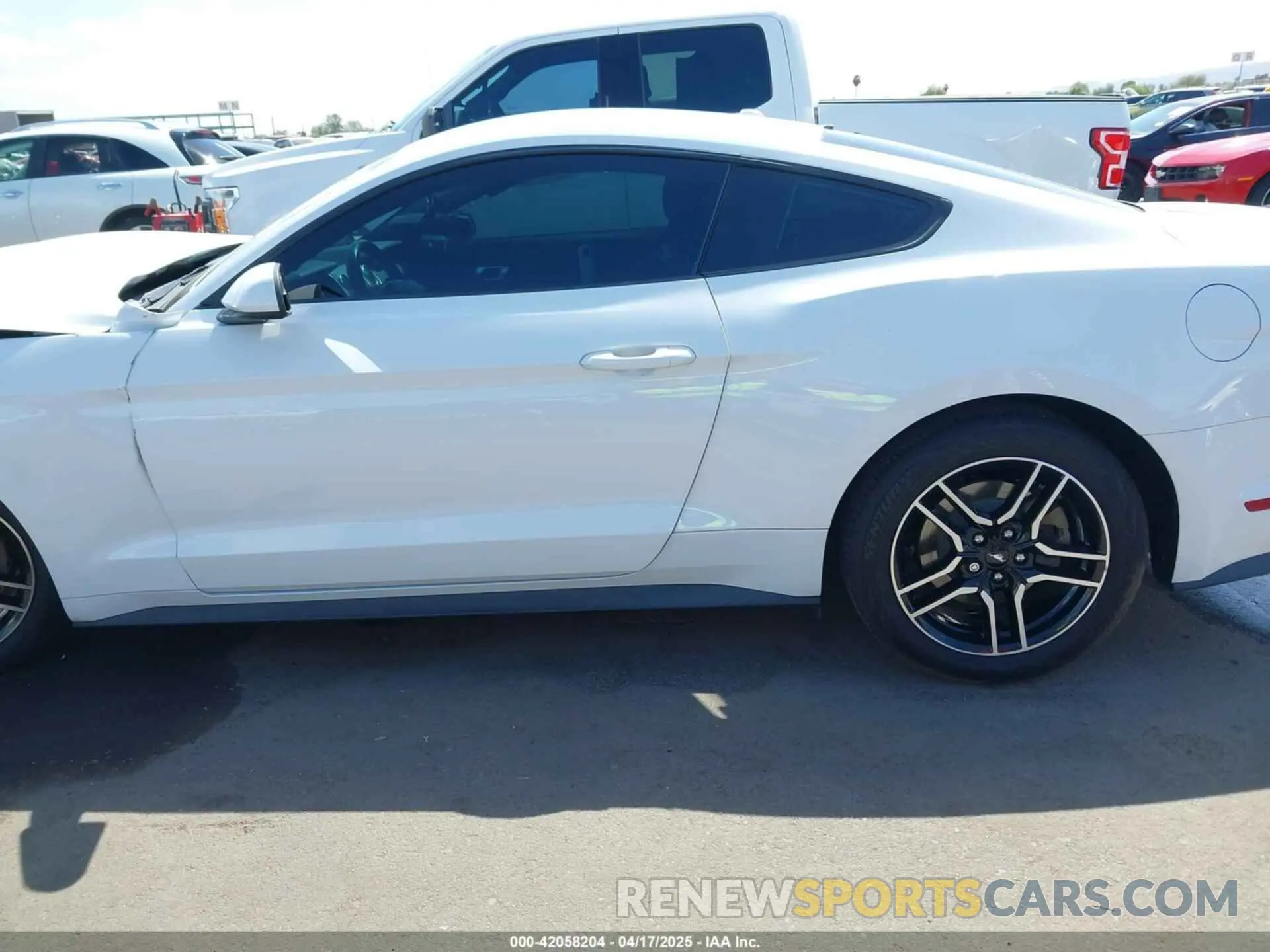 13 fotografías del automóvil dañado 1FA6P8TH3K5120831 FORD MUSTANG 2019