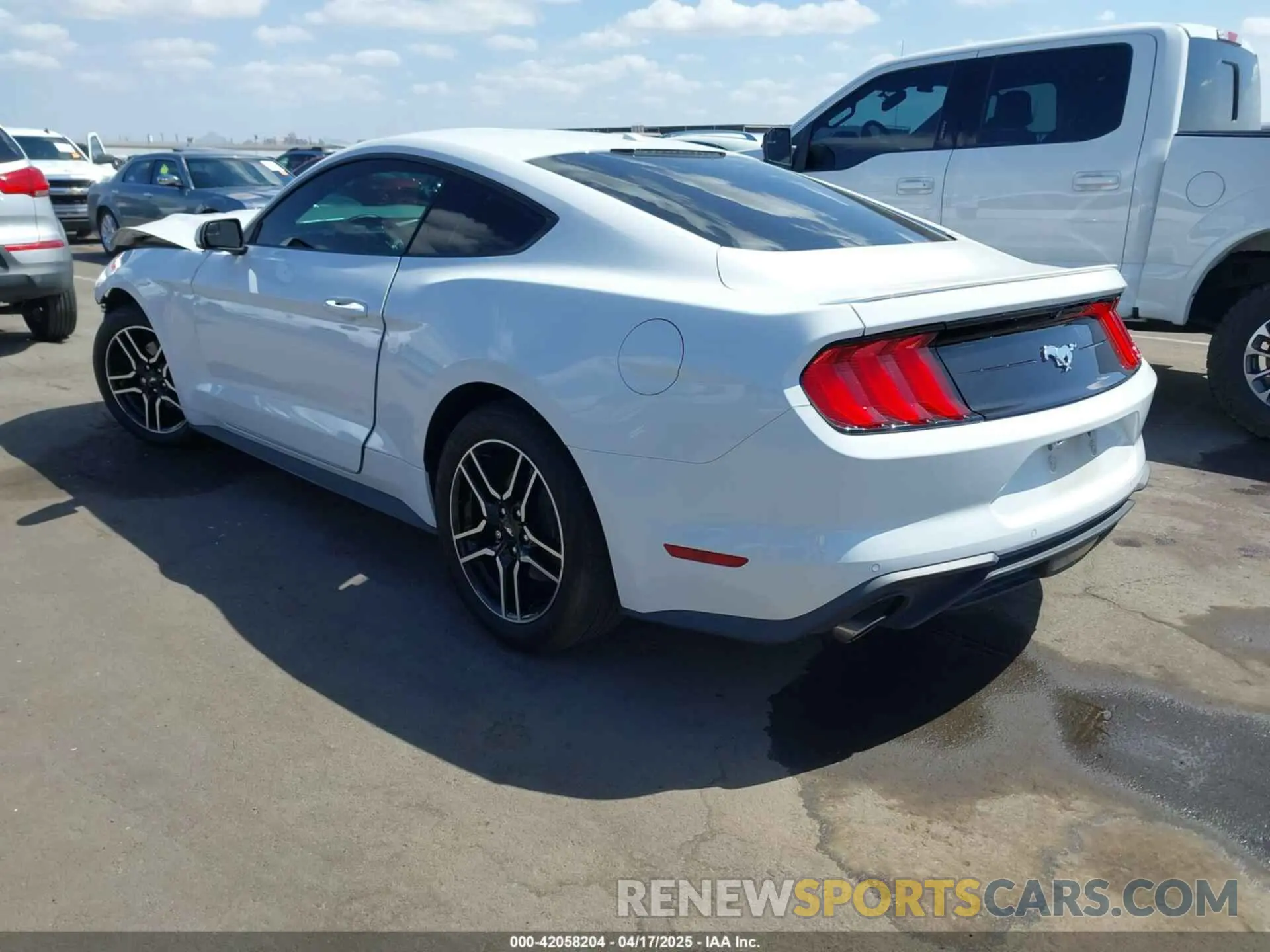 3 fotografías del automóvil dañado 1FA6P8TH3K5120831 FORD MUSTANG 2019