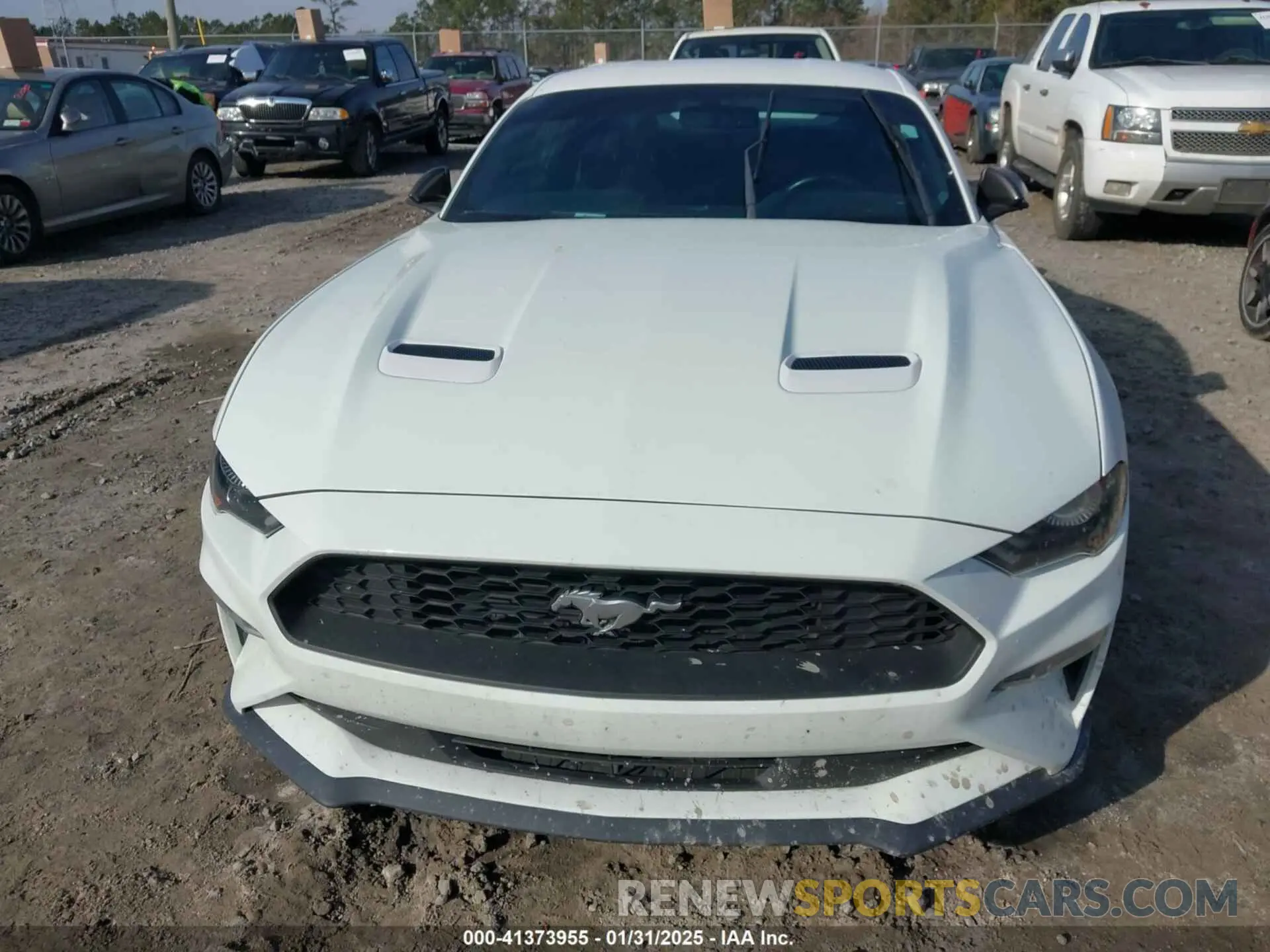 12 fotografías del automóvil dañado 1FA6P8TH3K5167261 FORD MUSTANG 2019