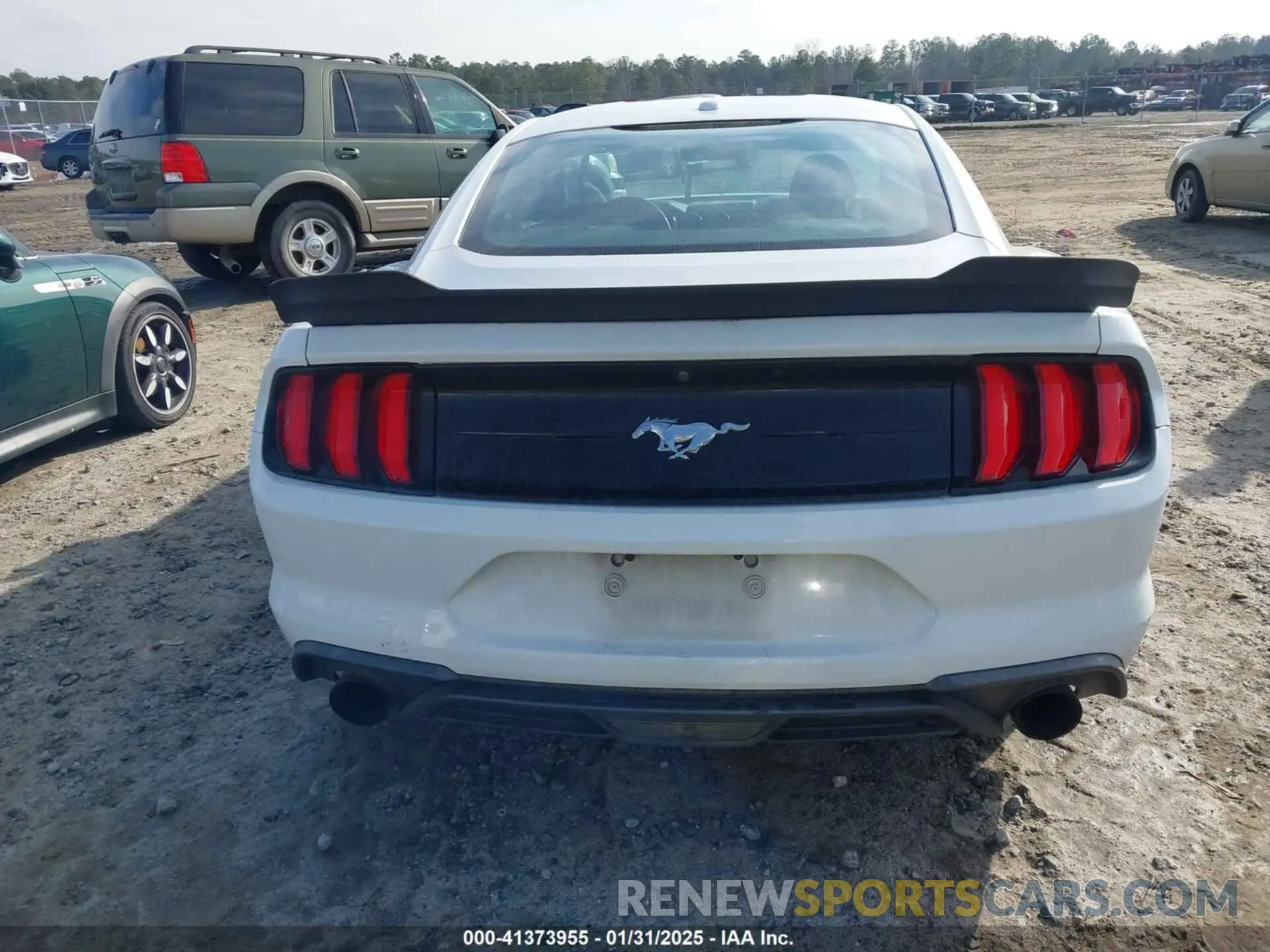 16 fotografías del automóvil dañado 1FA6P8TH3K5167261 FORD MUSTANG 2019