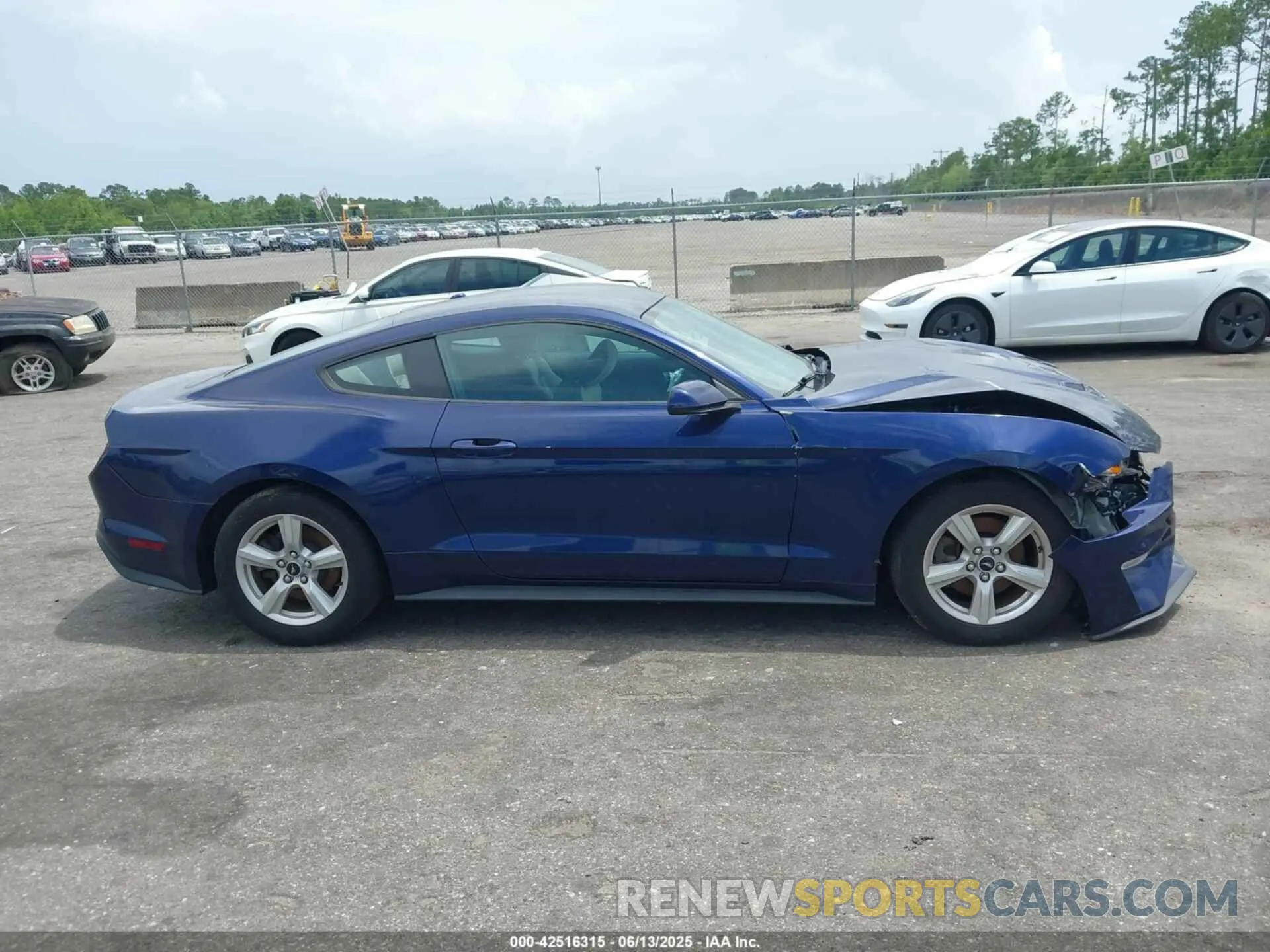 13 fotografías del automóvil dañado 1FA6P8TH3K5174131 FORD MUSTANG 2019