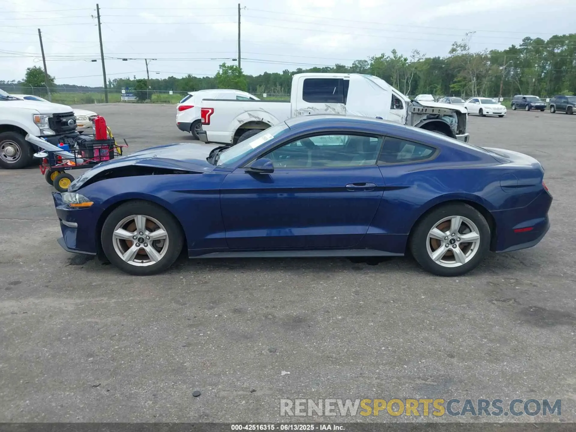 14 fotografías del automóvil dañado 1FA6P8TH3K5174131 FORD MUSTANG 2019