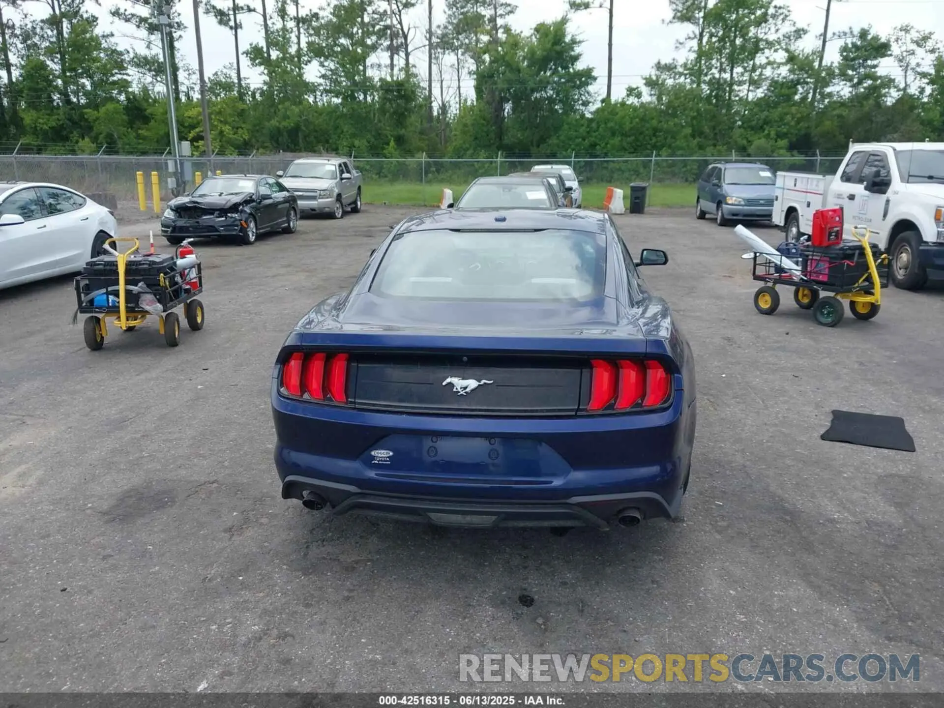 16 fotografías del automóvil dañado 1FA6P8TH3K5174131 FORD MUSTANG 2019