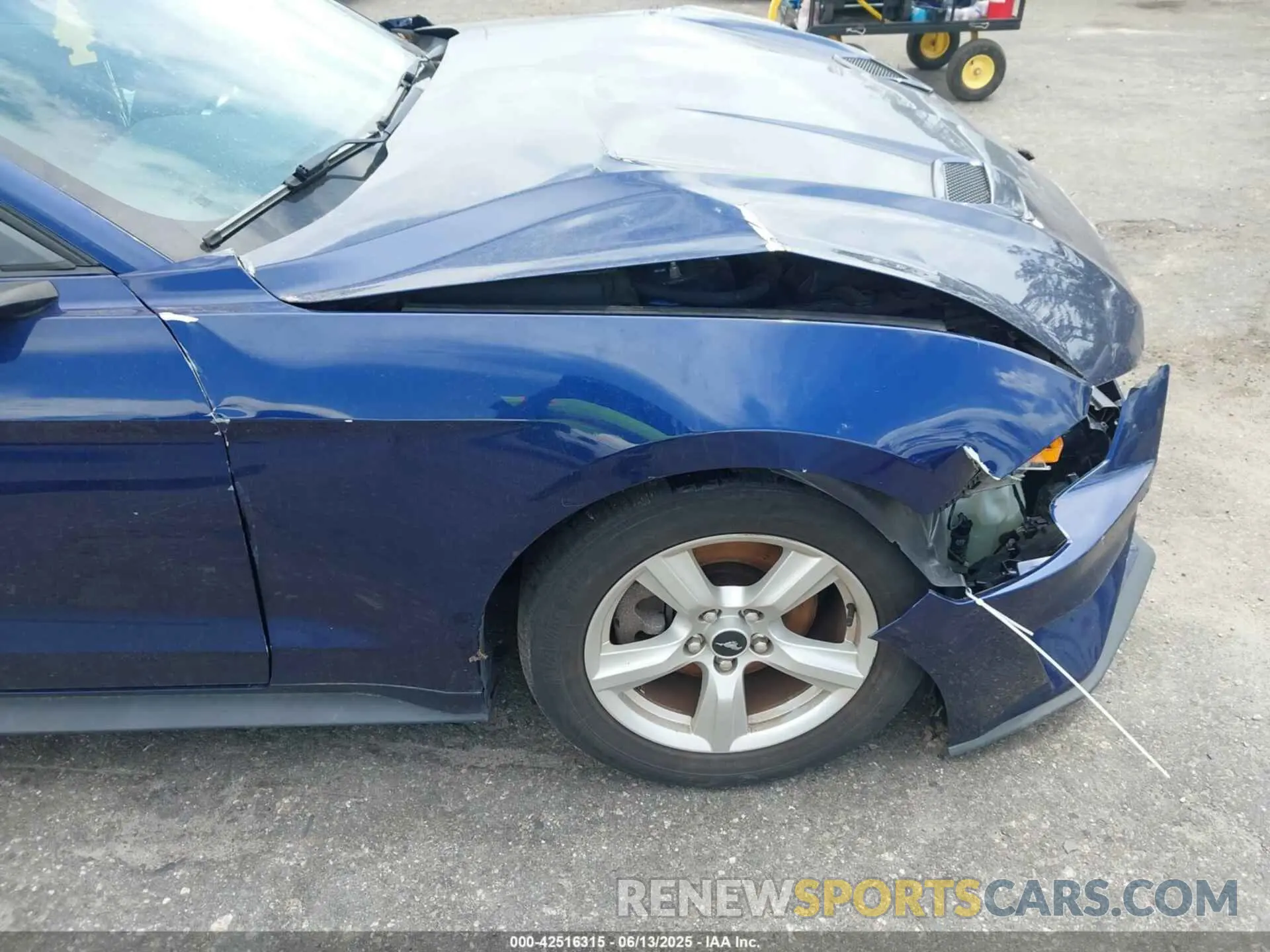 18 fotografías del automóvil dañado 1FA6P8TH3K5174131 FORD MUSTANG 2019