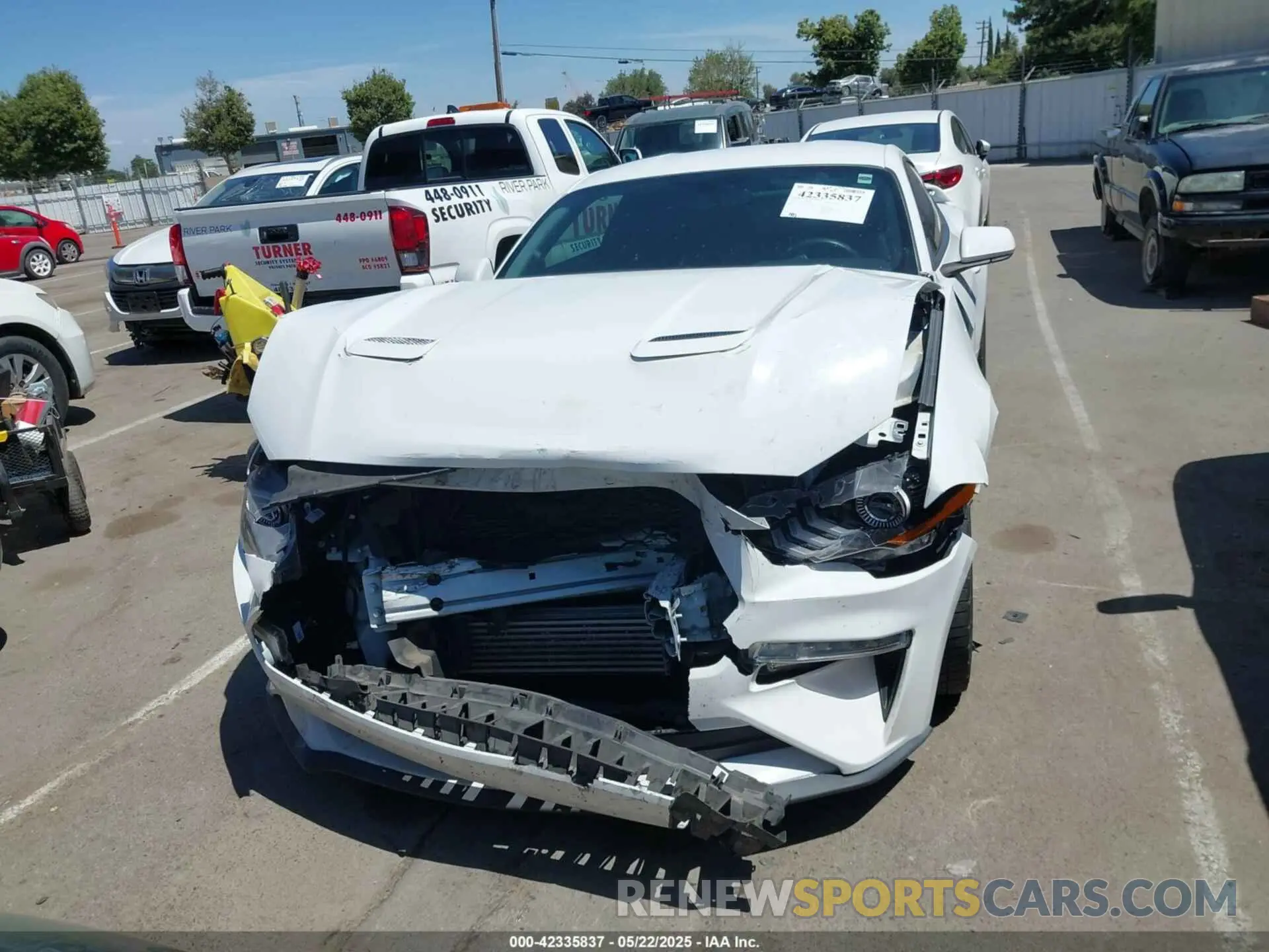 12 fotografías del automóvil dañado 1FA6P8TH4K5131093 FORD MUSTANG 2019