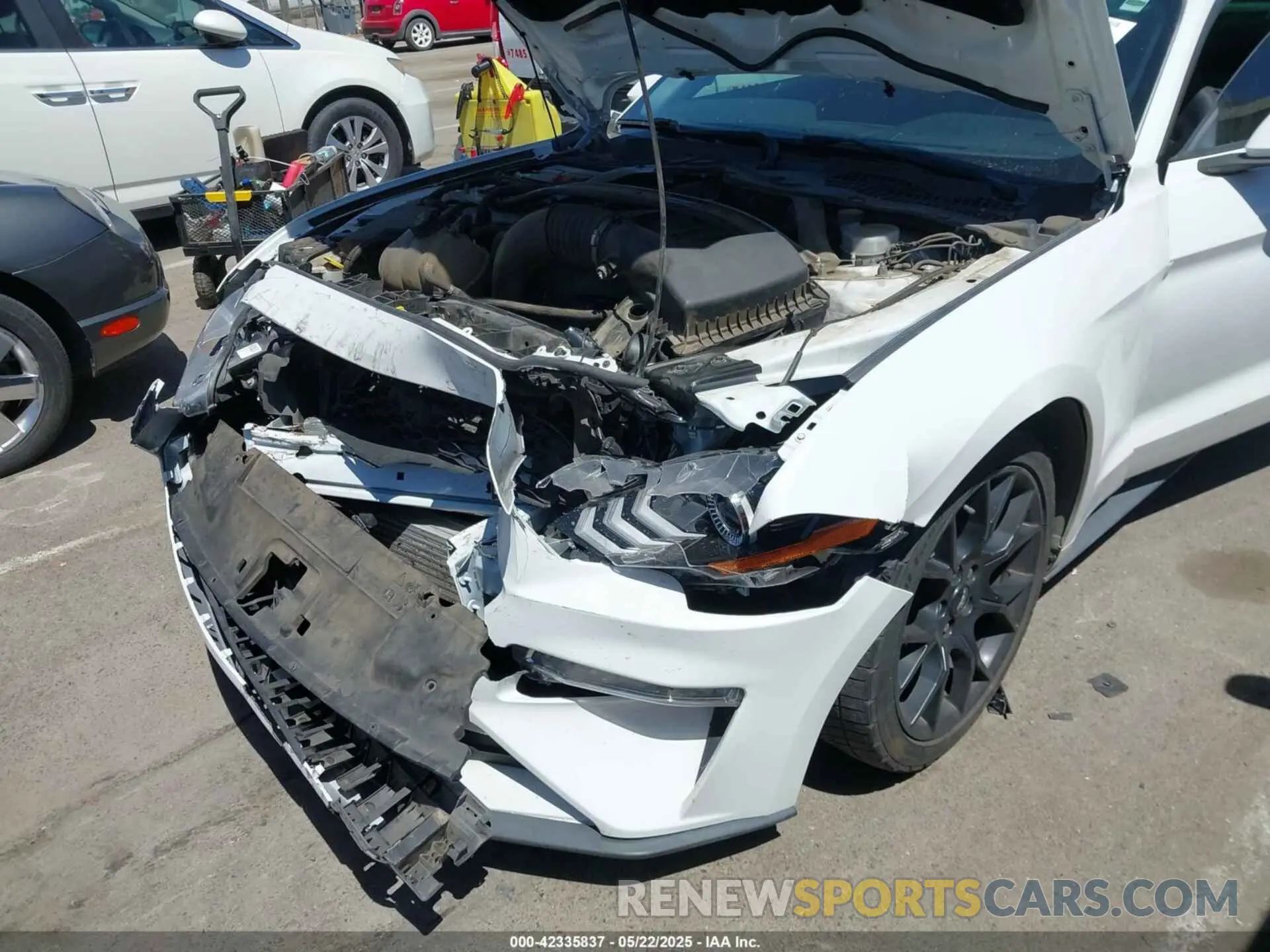 17 fotografías del automóvil dañado 1FA6P8TH4K5131093 FORD MUSTANG 2019