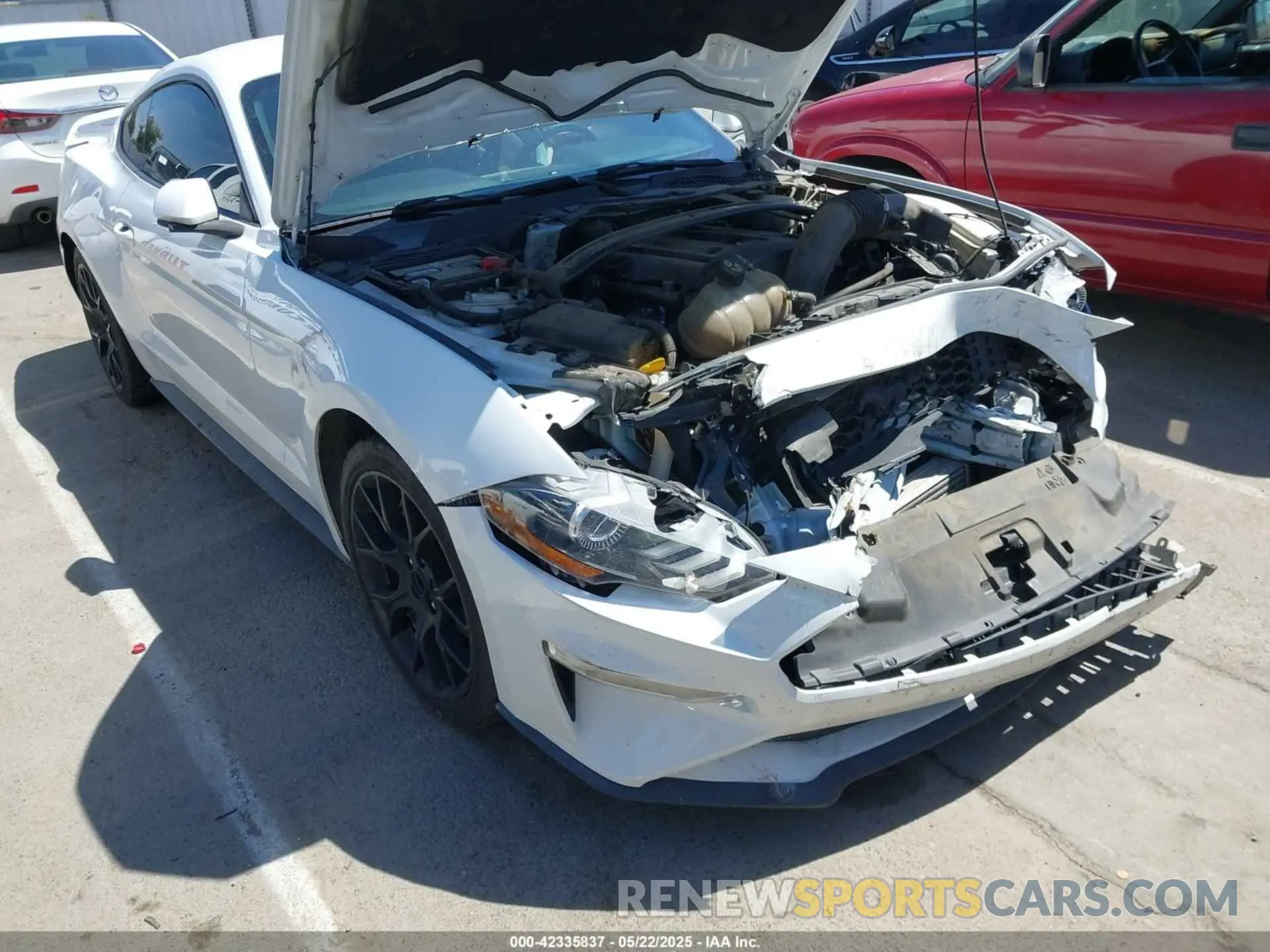 6 fotografías del automóvil dañado 1FA6P8TH4K5131093 FORD MUSTANG 2019