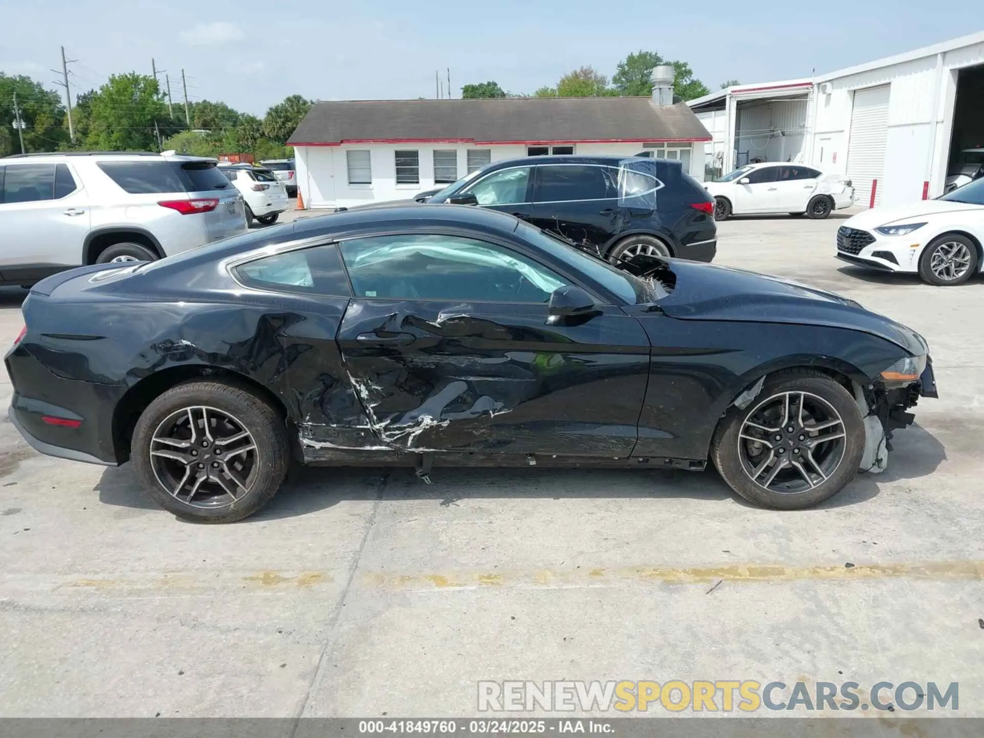 14 fotografías del automóvil dañado 1FA6P8TH4K5146998 FORD MUSTANG 2019