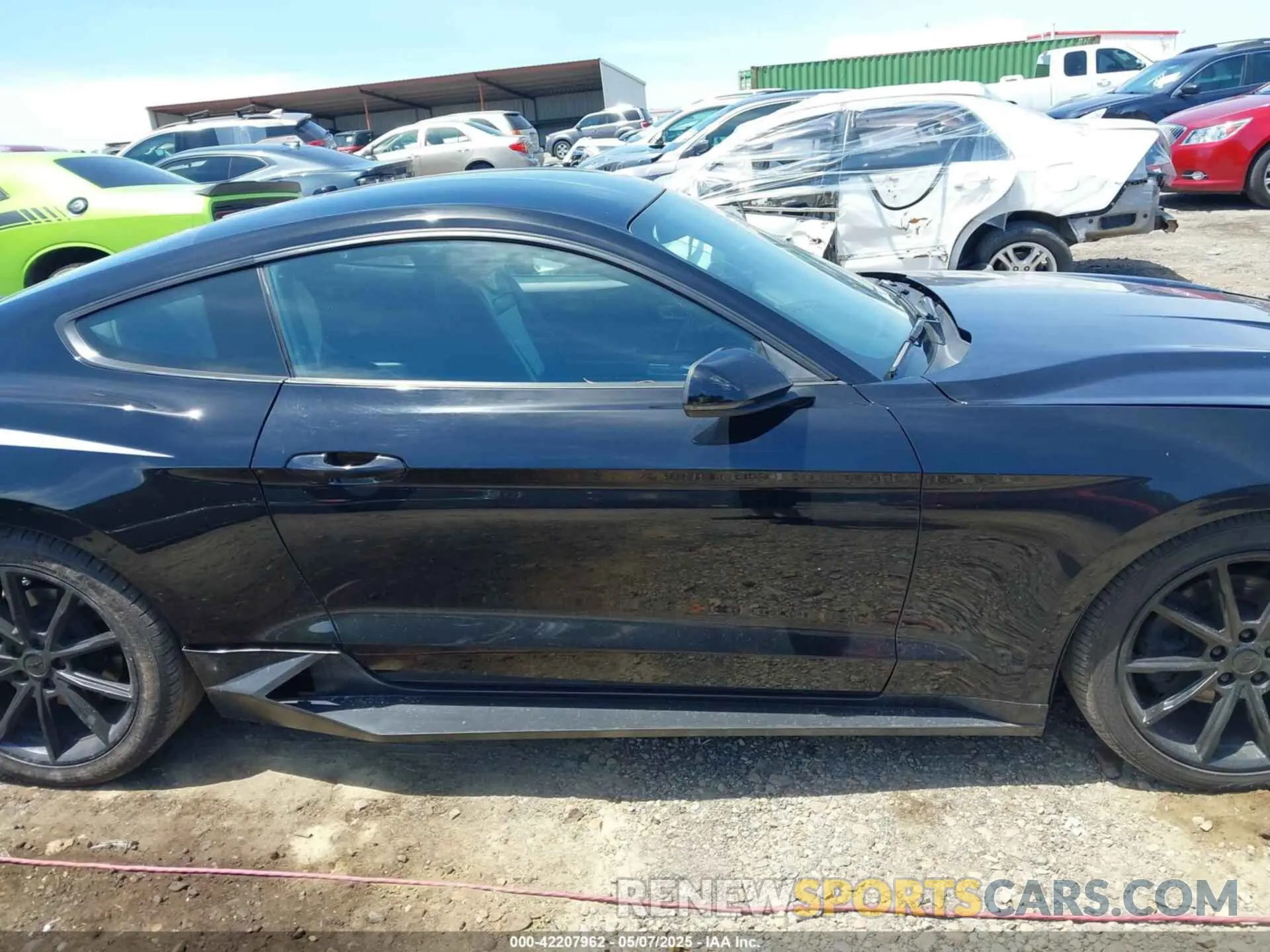 13 fotografías del automóvil dañado 1FA6P8TH4K5159573 FORD MUSTANG 2019