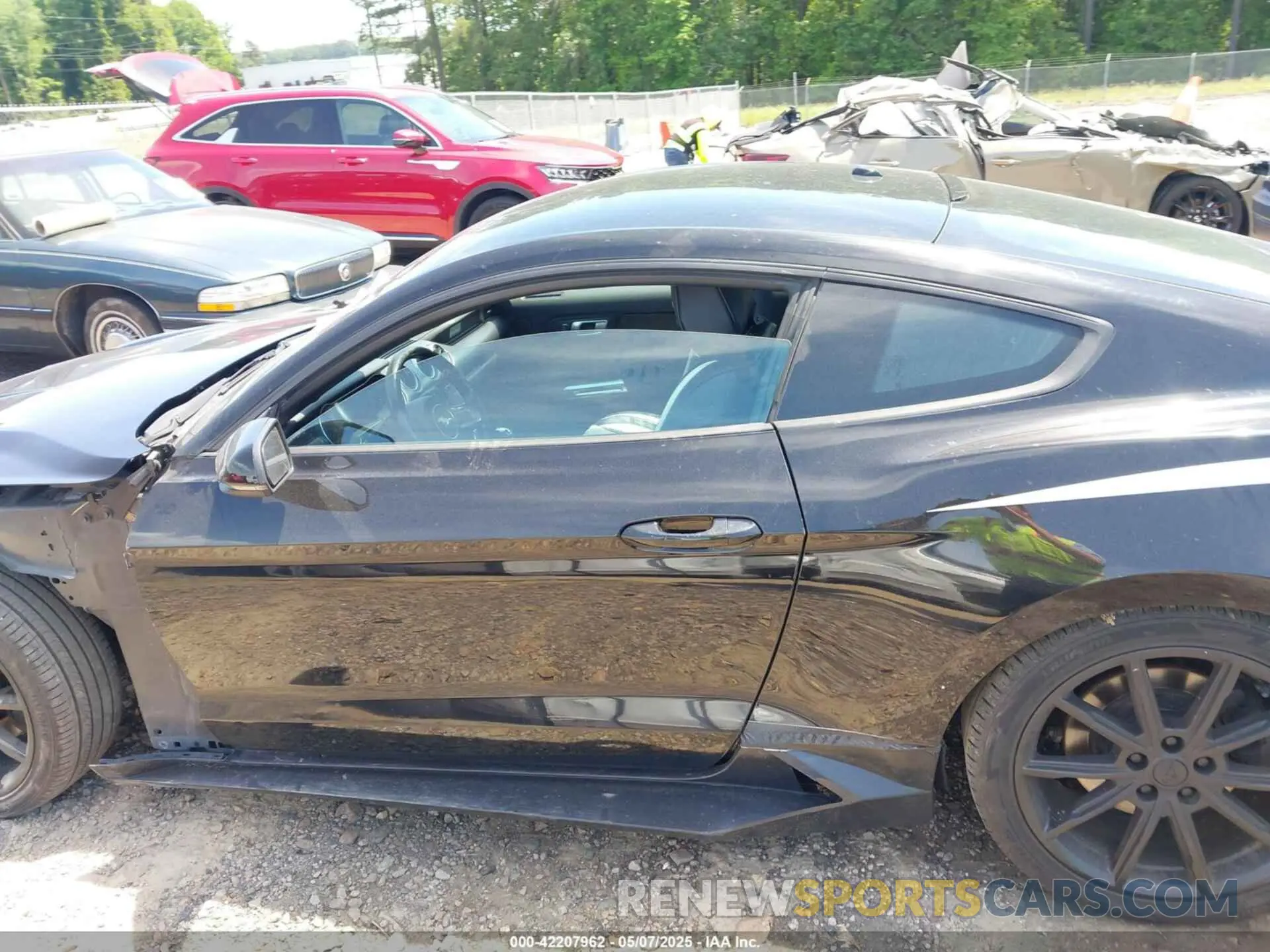 14 fotografías del automóvil dañado 1FA6P8TH4K5159573 FORD MUSTANG 2019