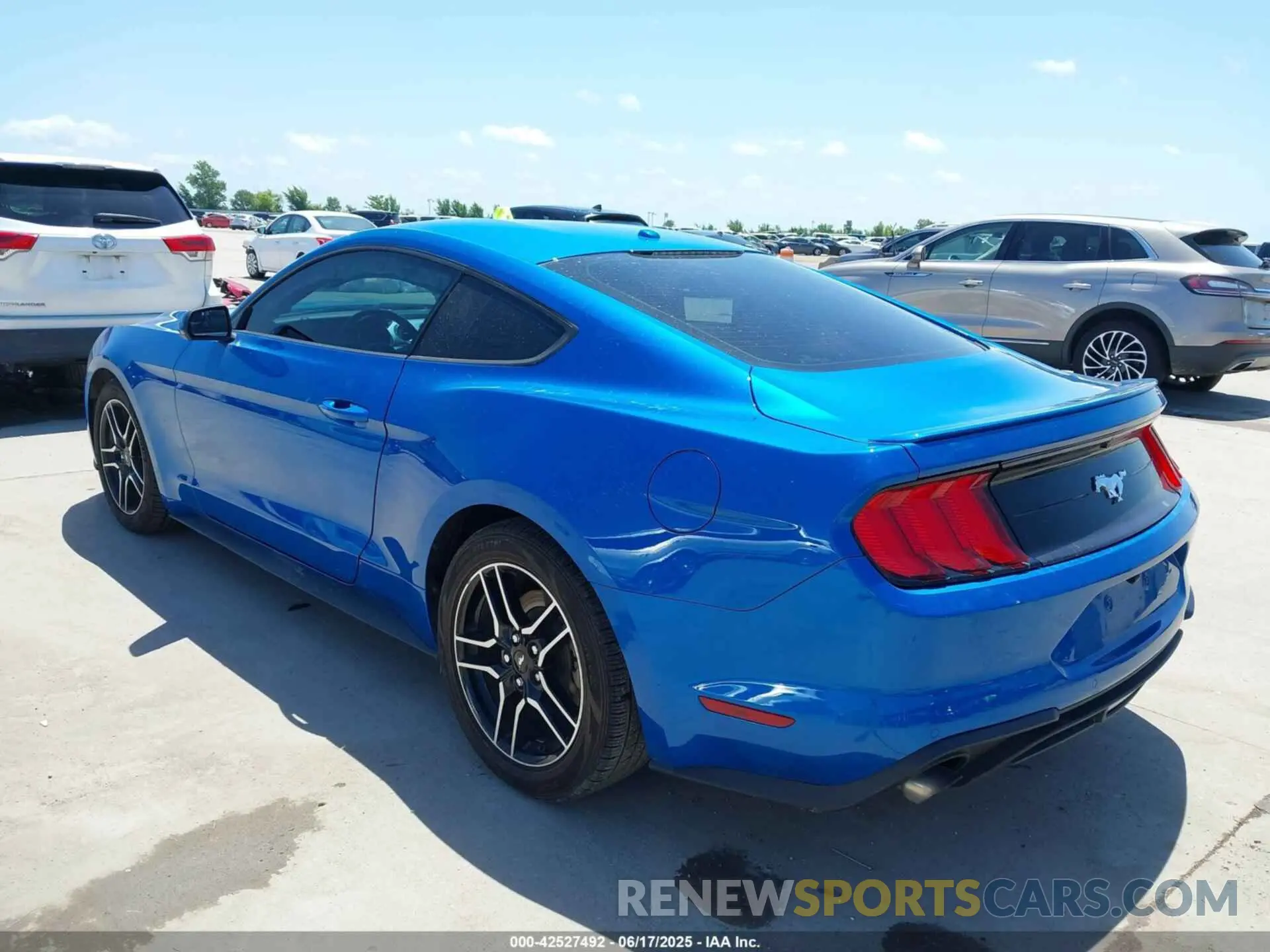 3 fotografías del automóvil dañado 1FA6P8TH4K5201515 FORD MUSTANG 2019